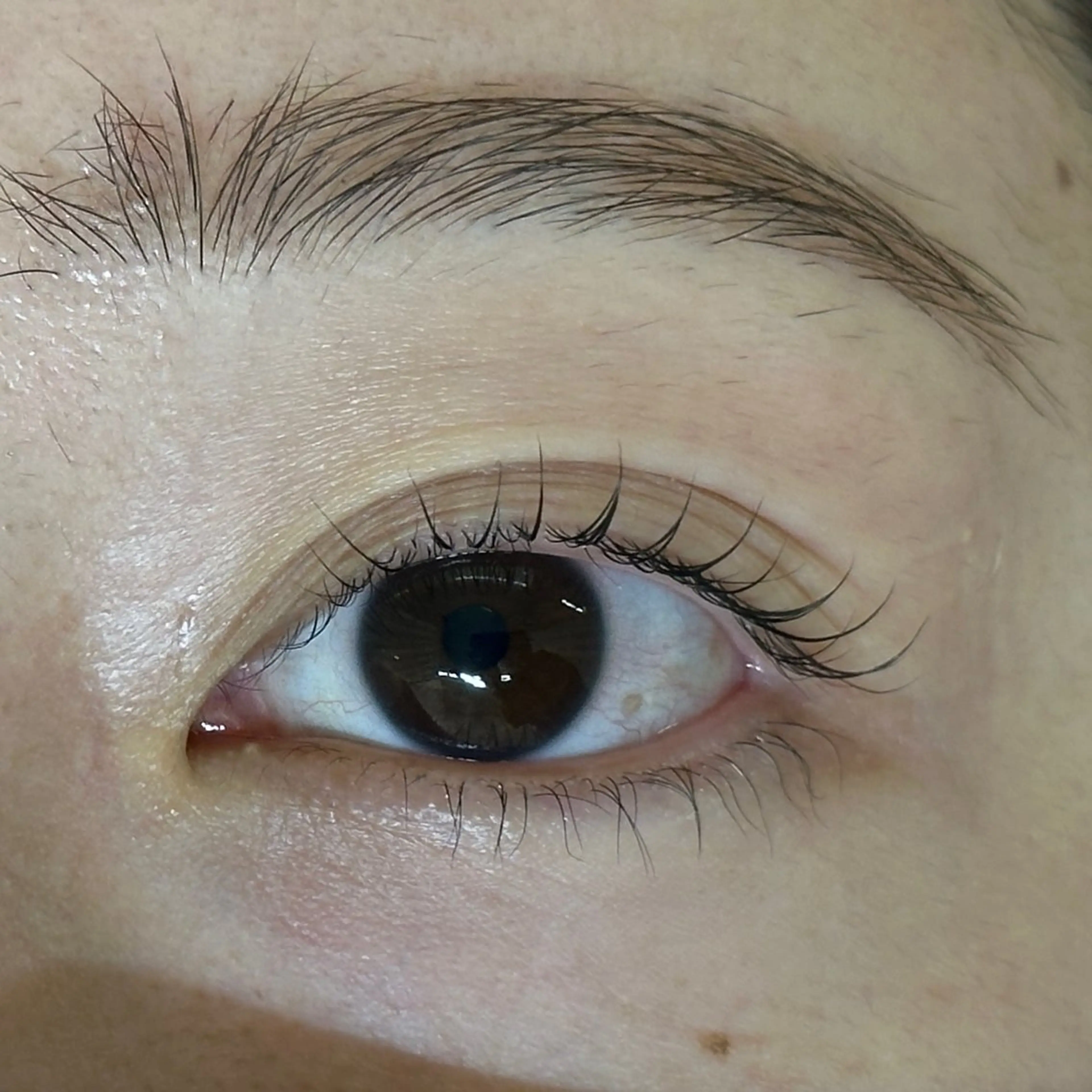 マツエク・マツパ daisy lash天王寺　池阪のマツエク・マツパデザイン