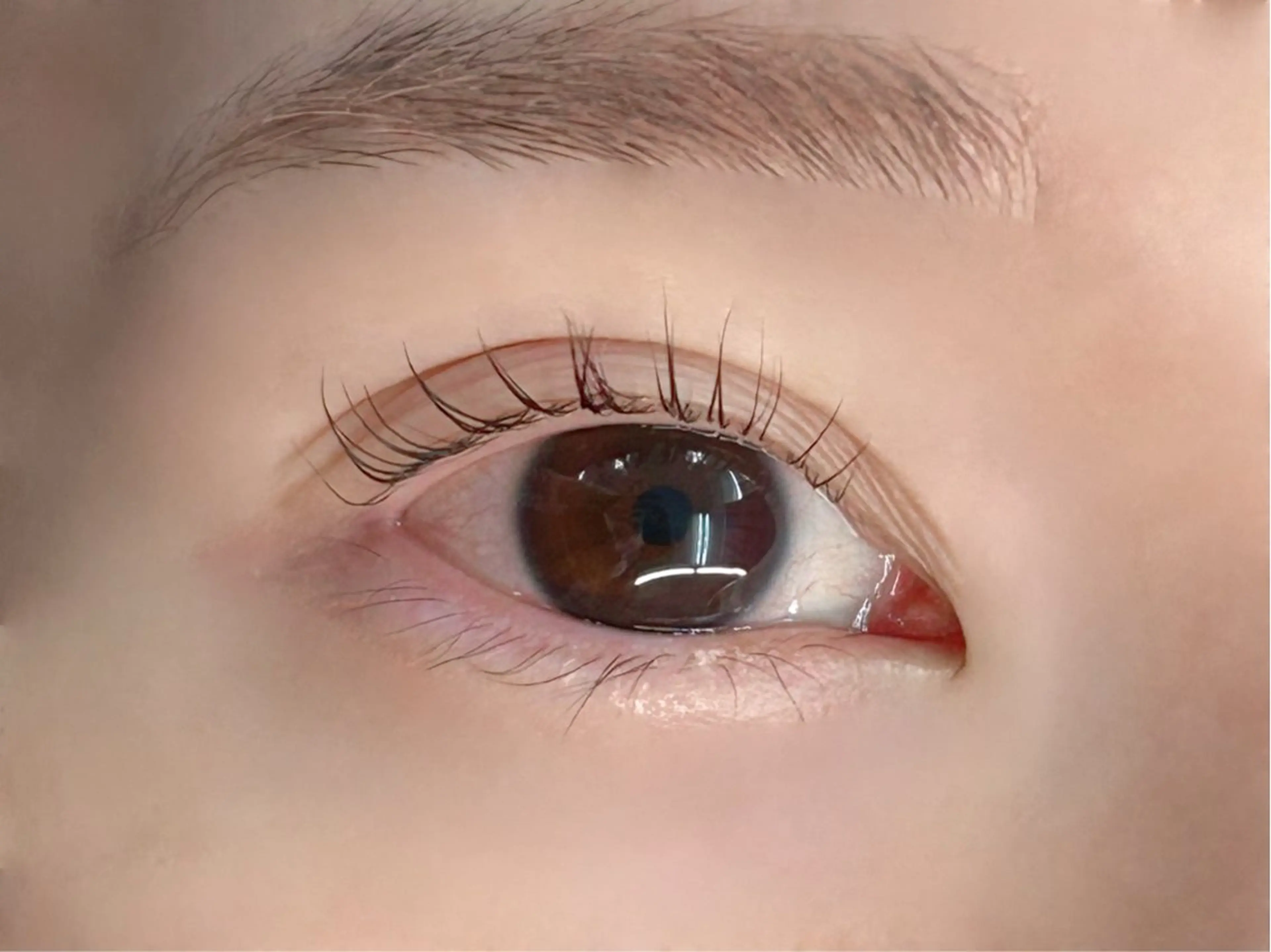 🩵ラッシュリフト上モデル🩵の写真