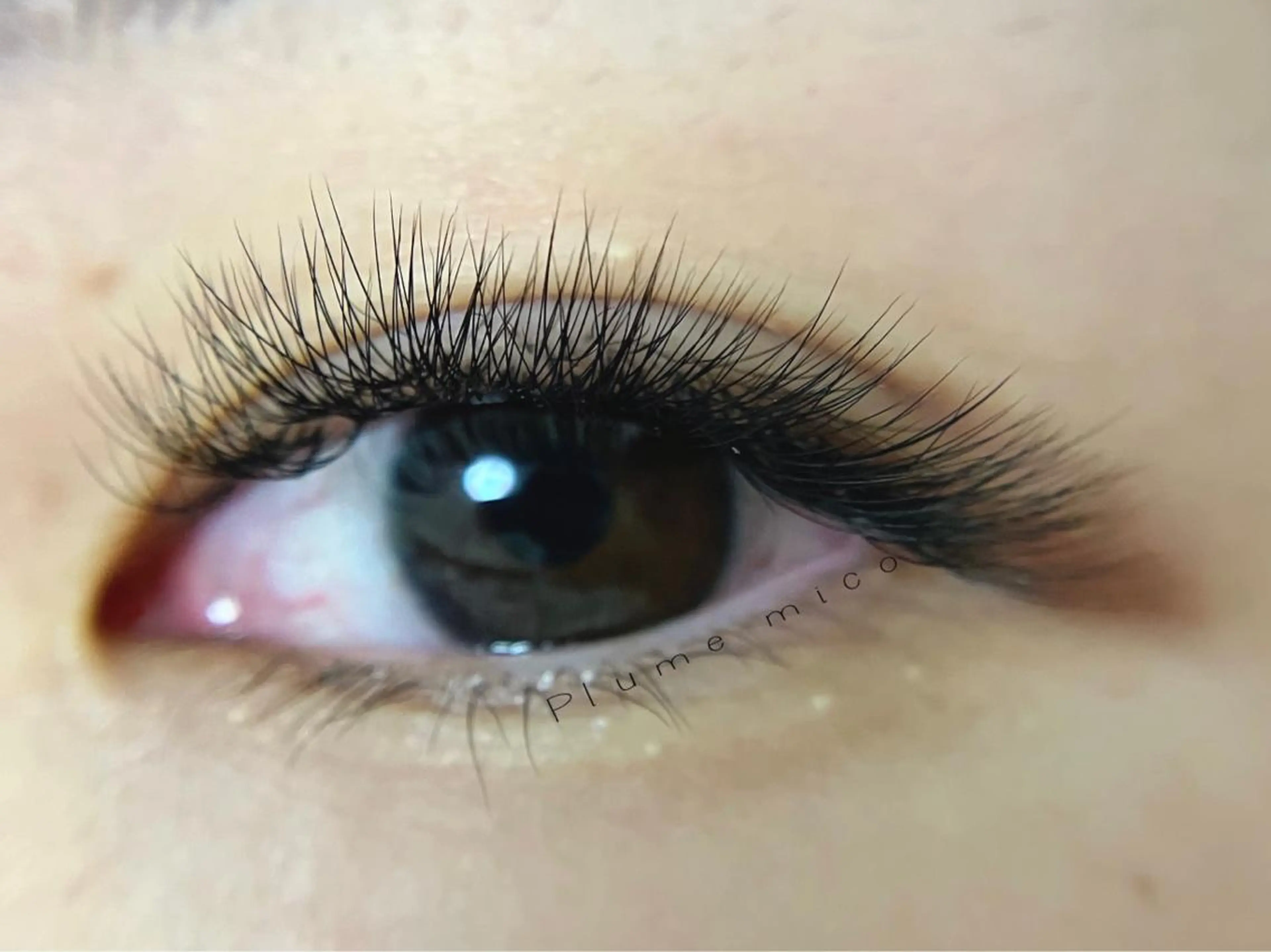 マツエク・マツパ マツエク Plume micoのマツエク・マツパデザイン