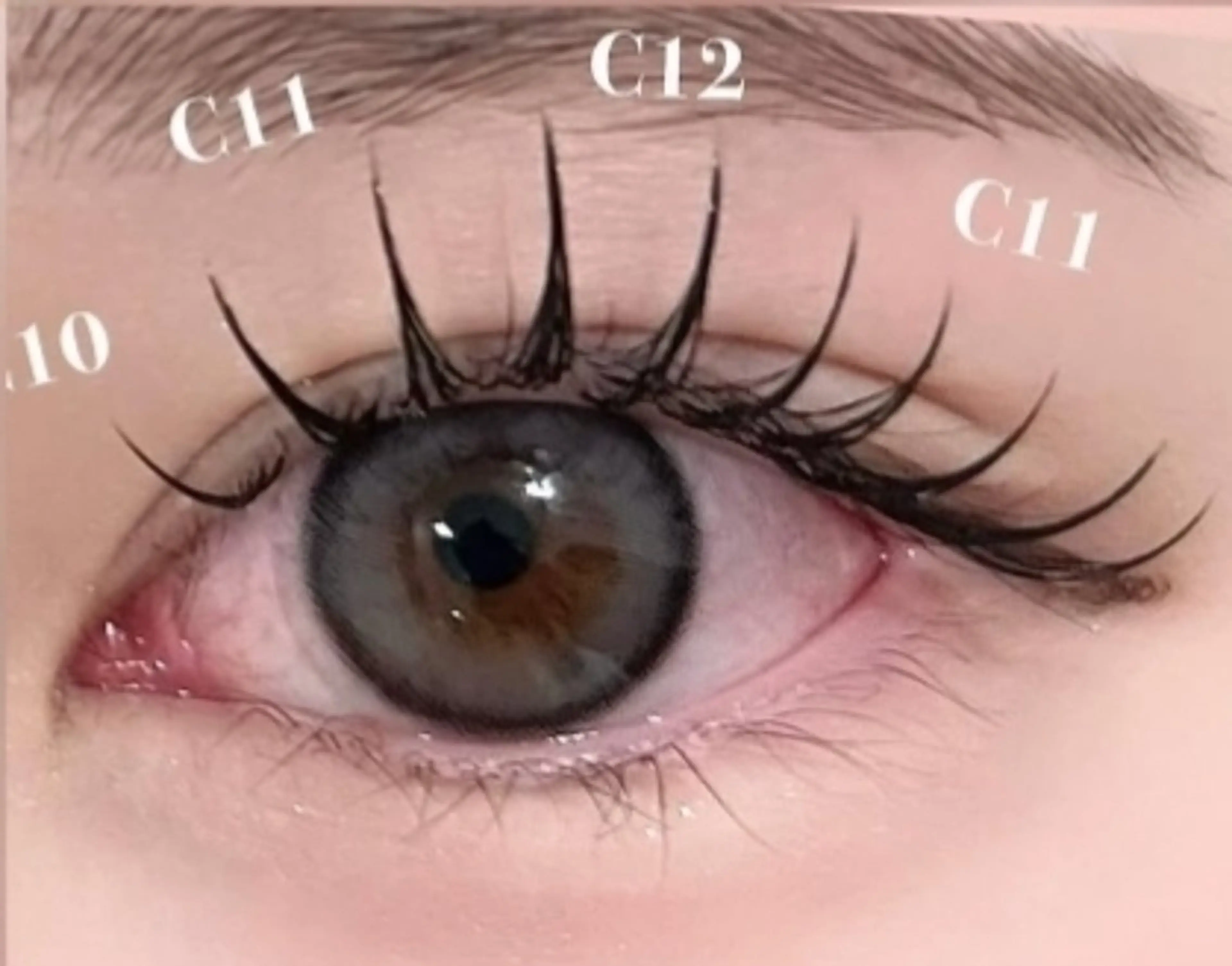 マツエク・マツパ SUN WENのマツエク・マツパデザイン