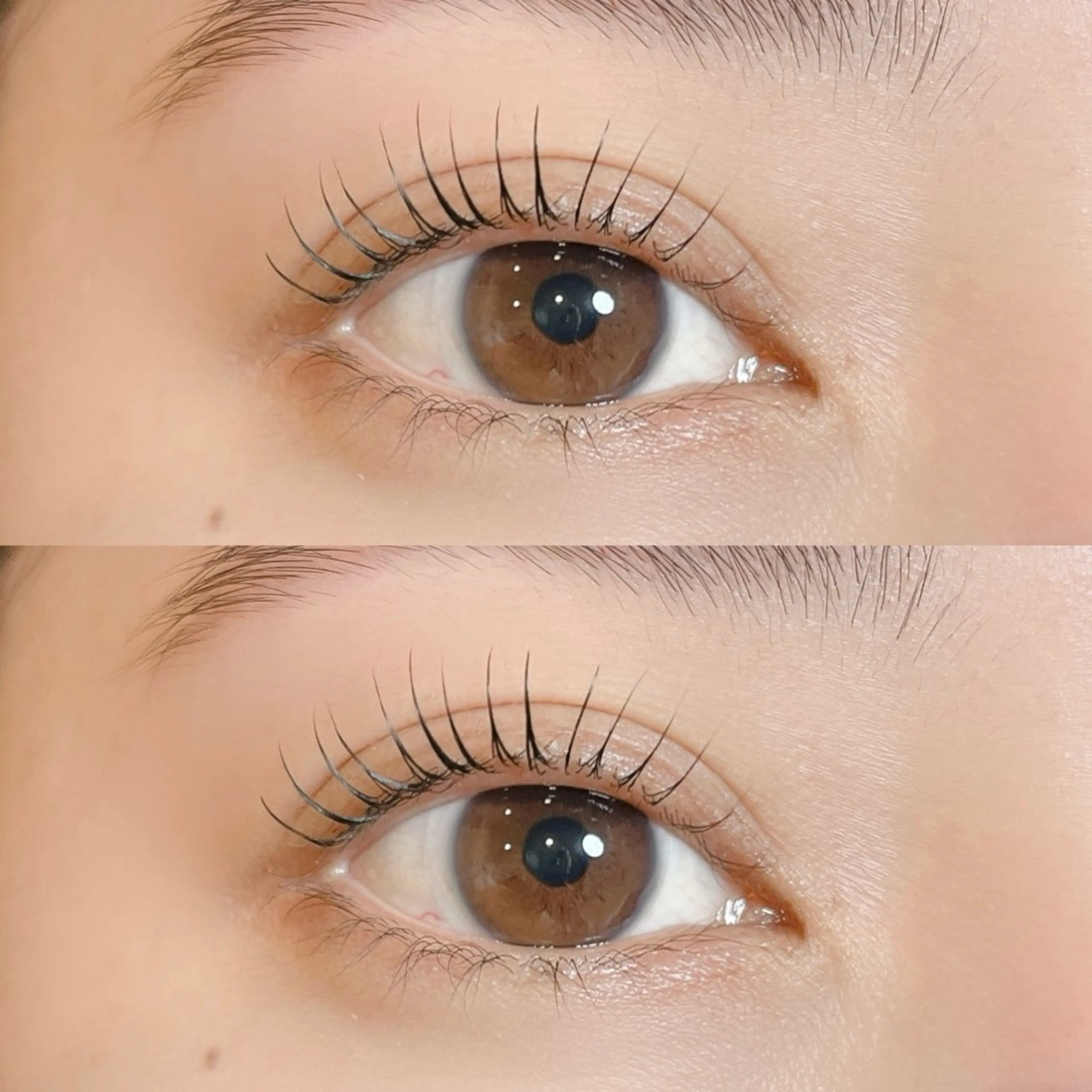 【学割U-24】ラッシュリフト（まつげパーマ）￥7,150→￥2,990の写真