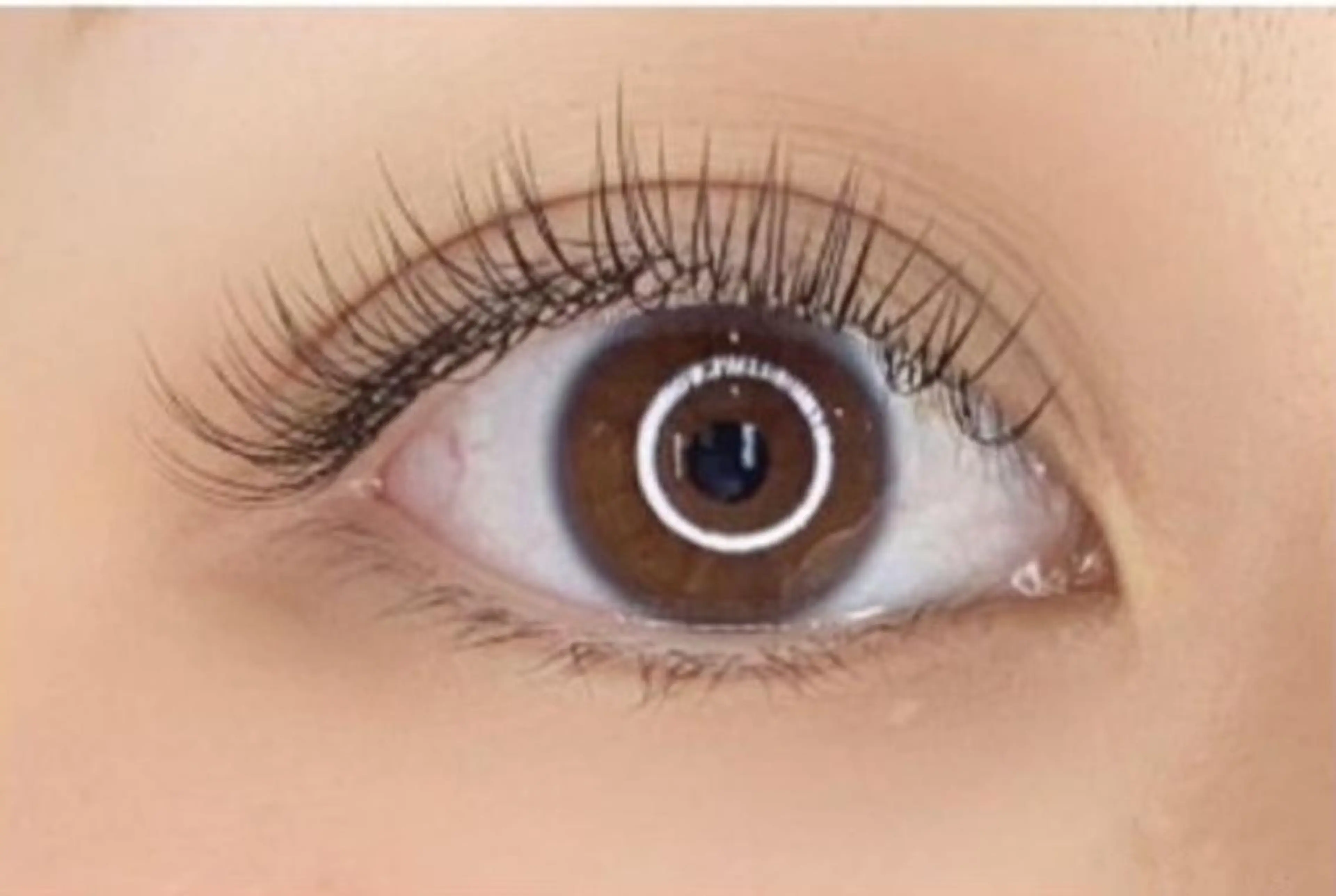 品良く濃さ♪シングル(セーブルorフラットラッシュ)130本までの写真