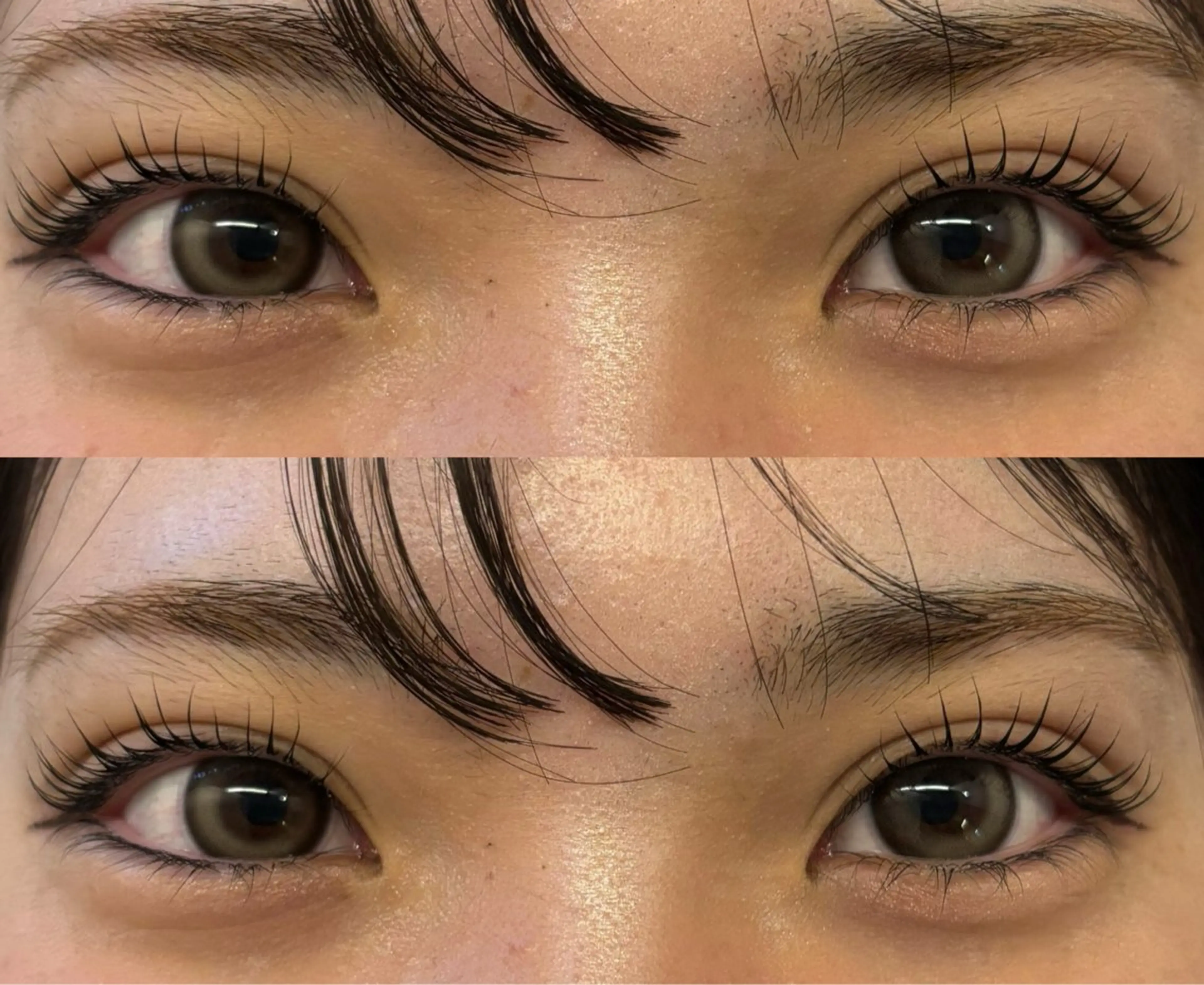 【根元からぱっちり🐻💞】パリジェンヌラッシュリフト🫧の写真