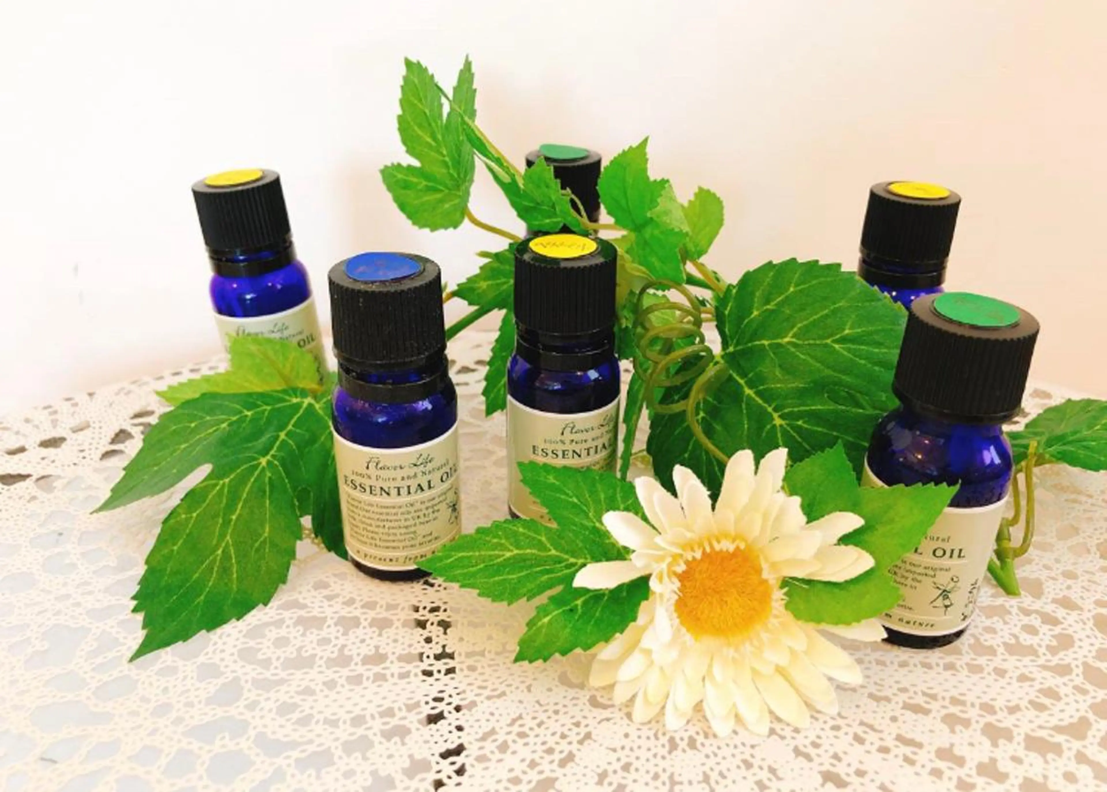 ロハストリートメントコース　(アロマオイルでお顔、首、デコルテ、肩、背中、癒しのリラクゼーションマッサージ)の写真