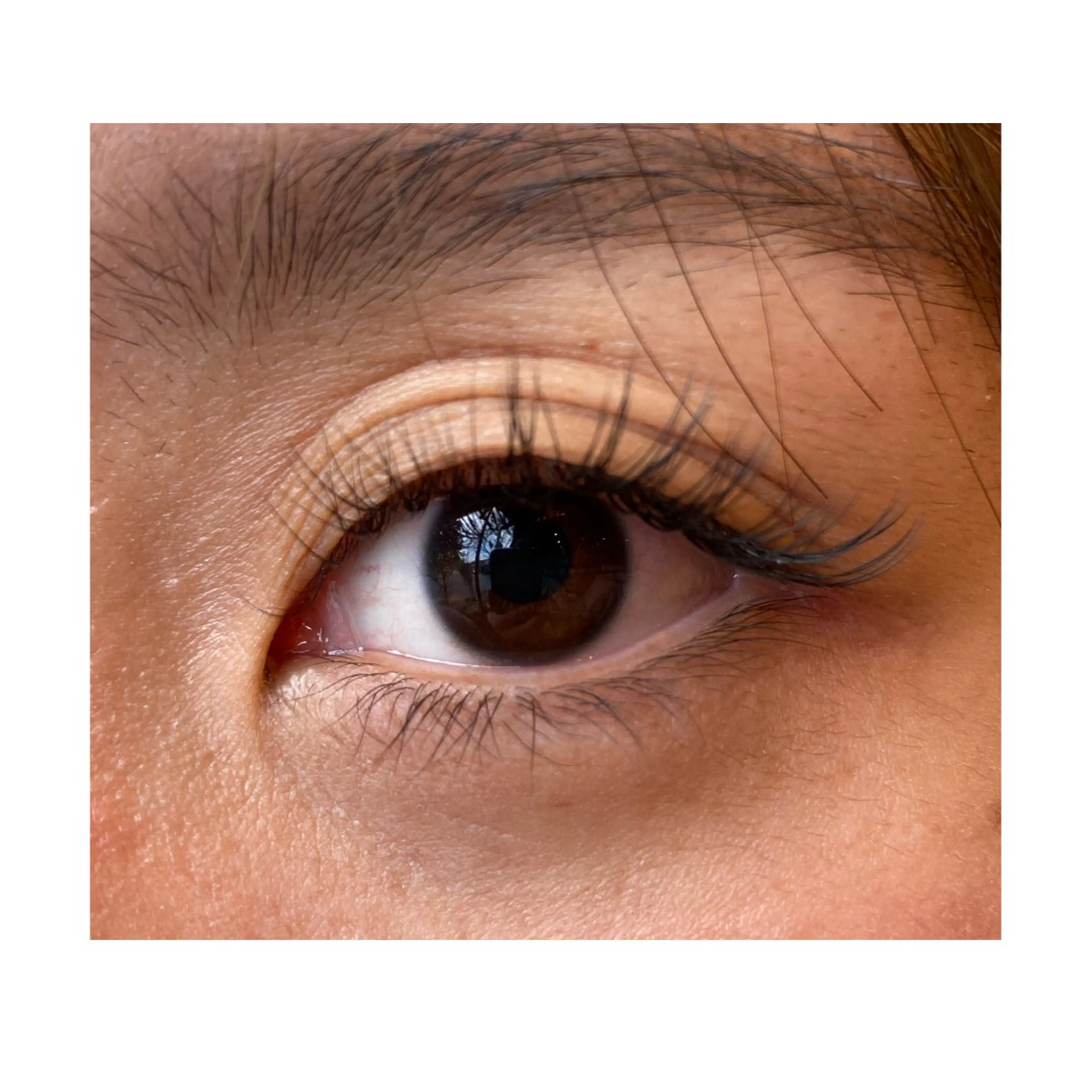 マツエク・マツパ cielo 下村のマツエク・マツパデザイン