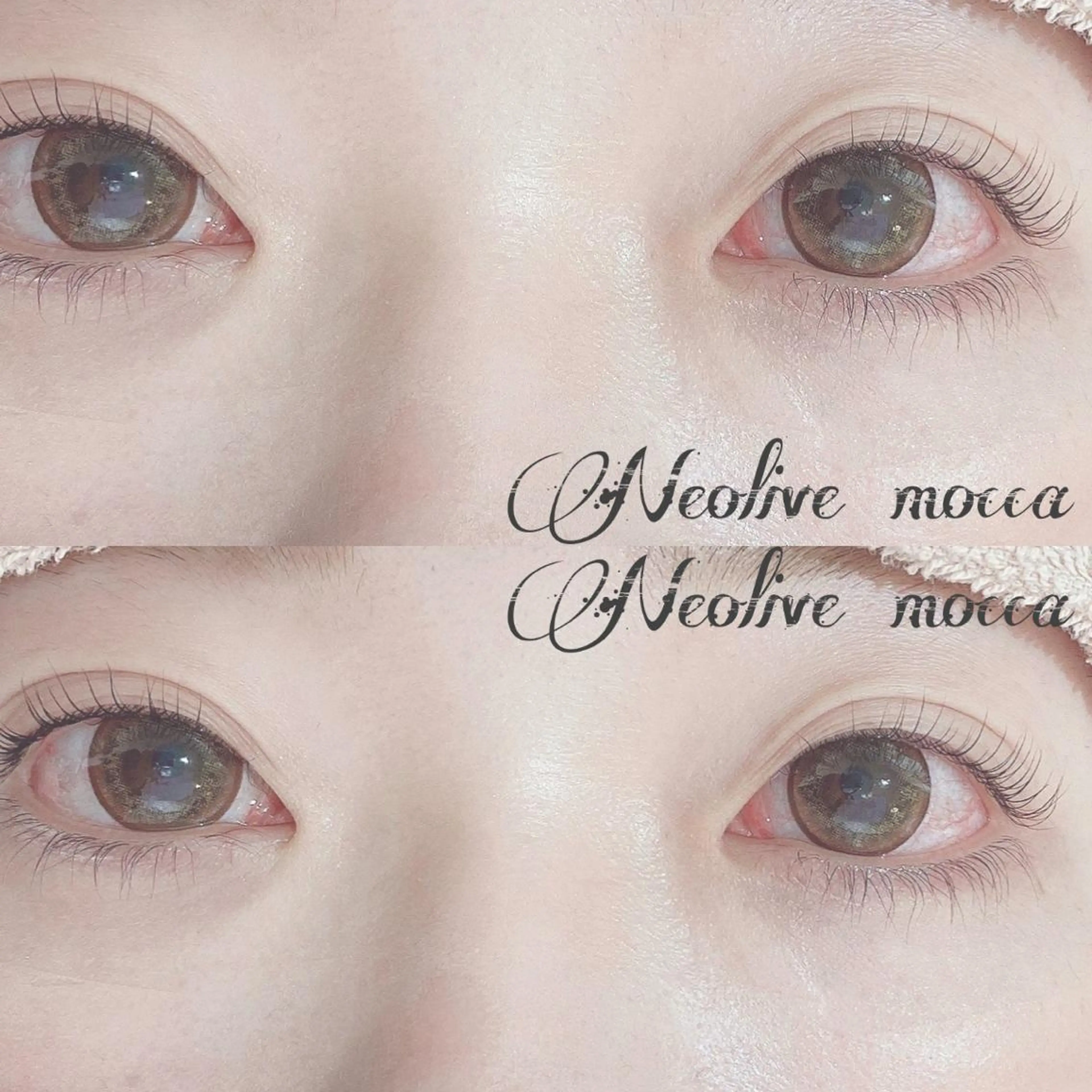 ❤︎まつ毛パーマ❤︎✨アイシャンプー.美容液仕上げ✨　　　　⭐︎メンバー様¥6550の写真