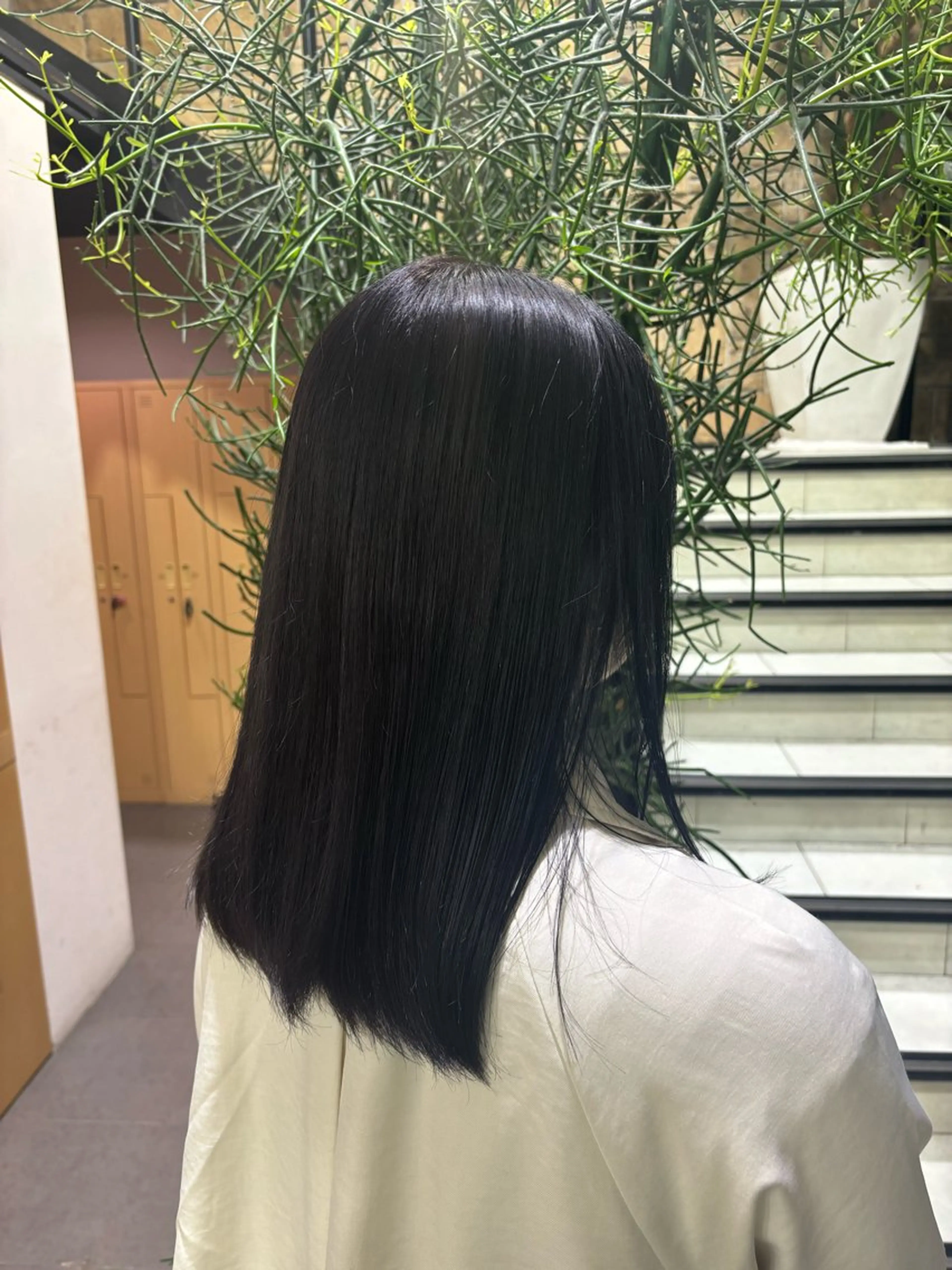 ミディアム カラー ヘアカラー 🫧ブリーチ／カラー 🫧　鈴木敏文のヘアスタイル