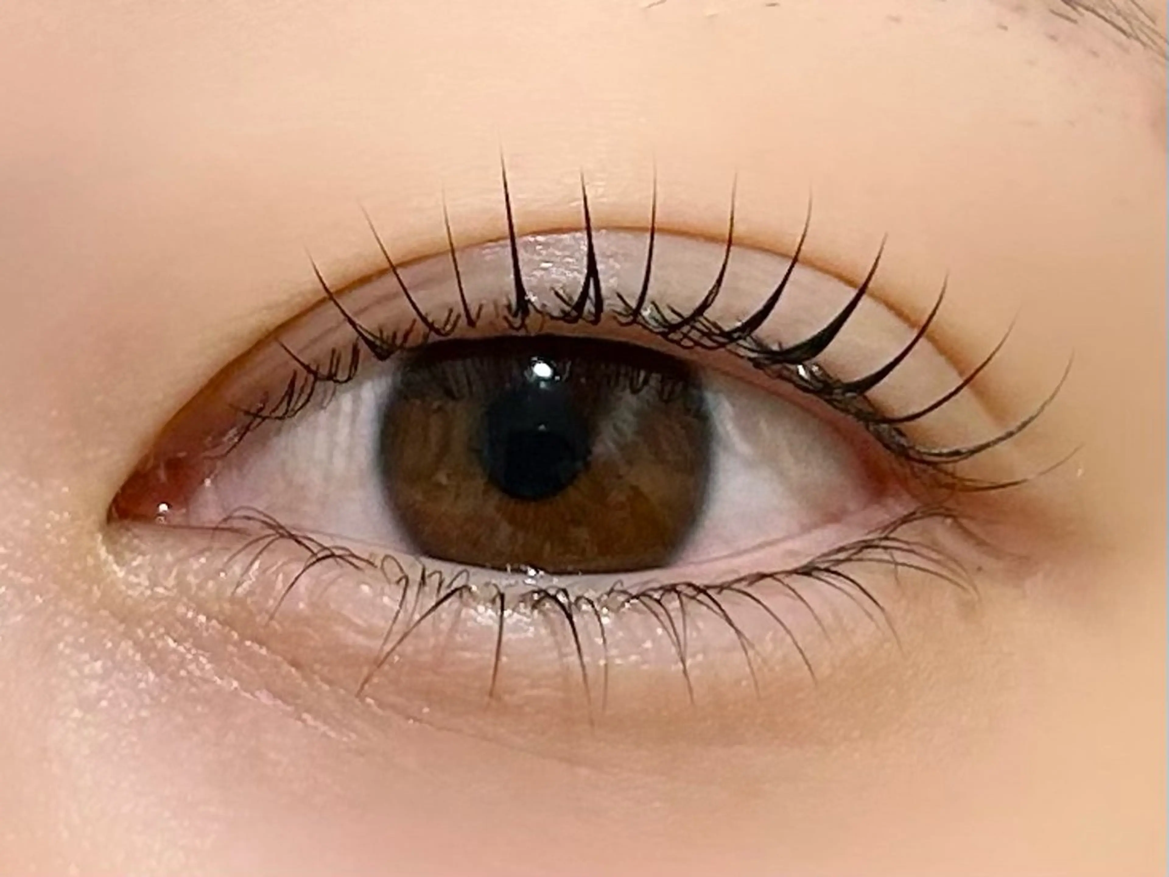 minimo限定価格🖤上下まつげパーマの写真