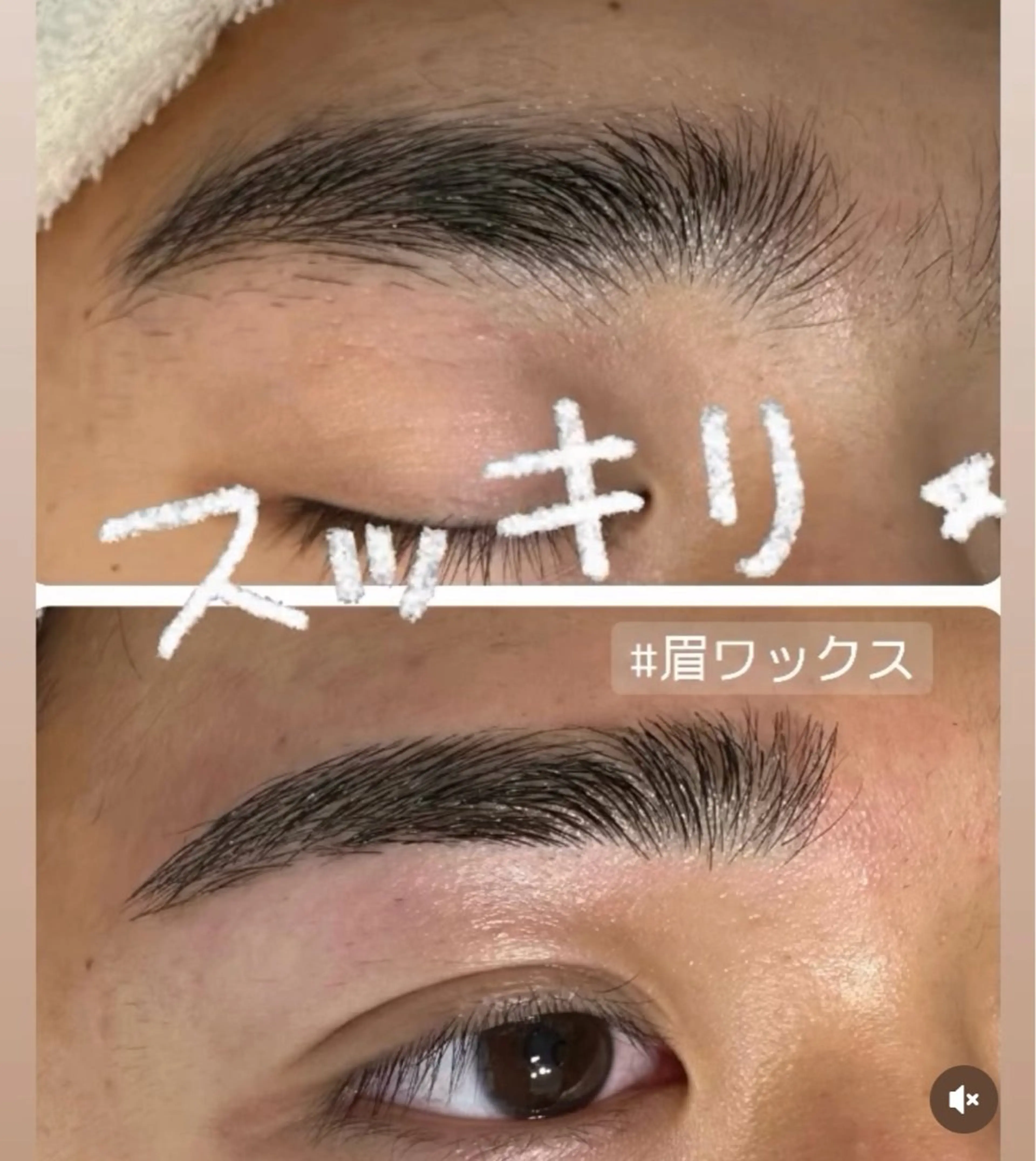 希少ハードワックスで取れる眉WAXの写真