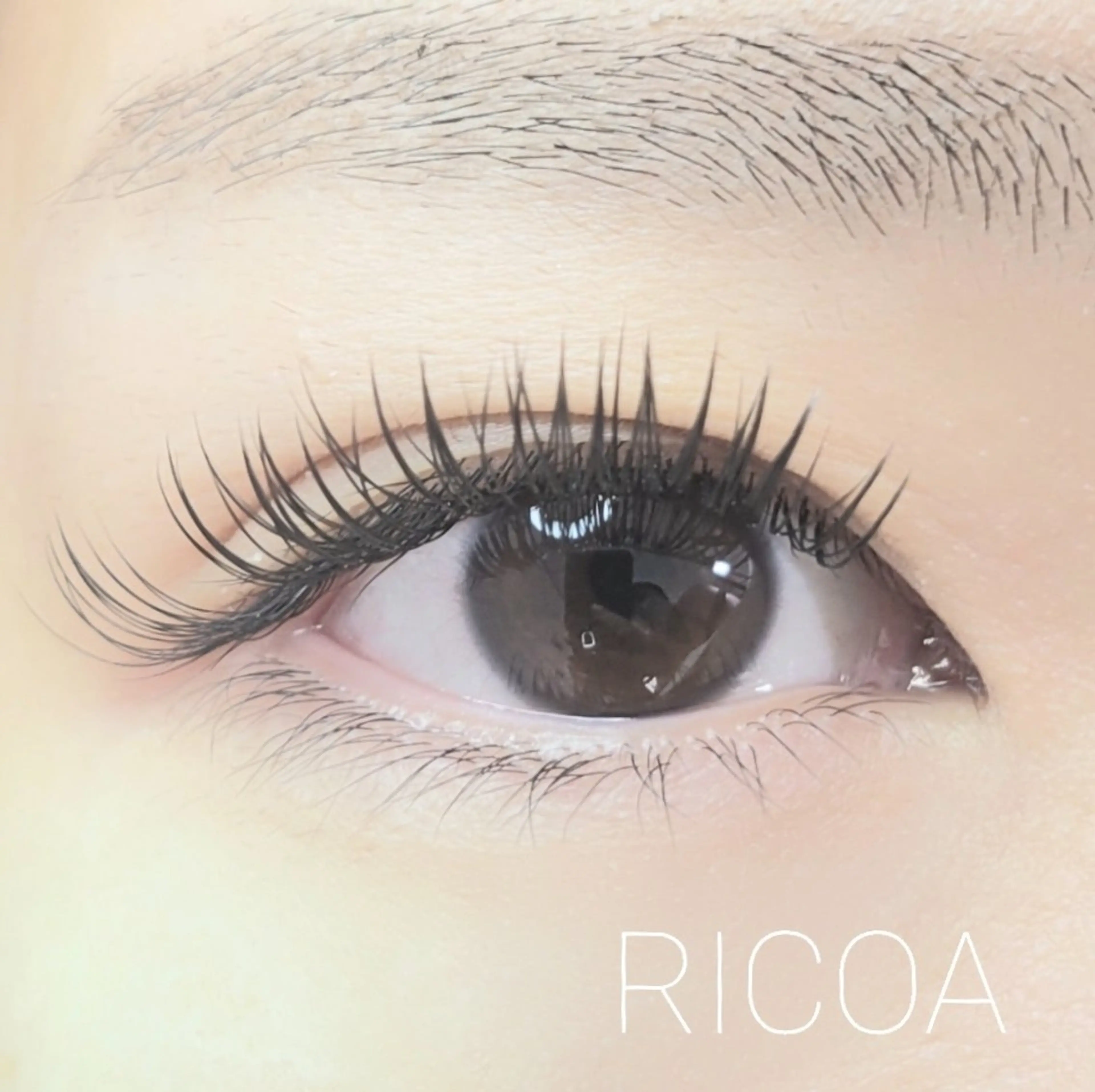 マツエク・マツパ フラットラッシュ マツエク RICOA 酒井のマツエク・マツパデザイン