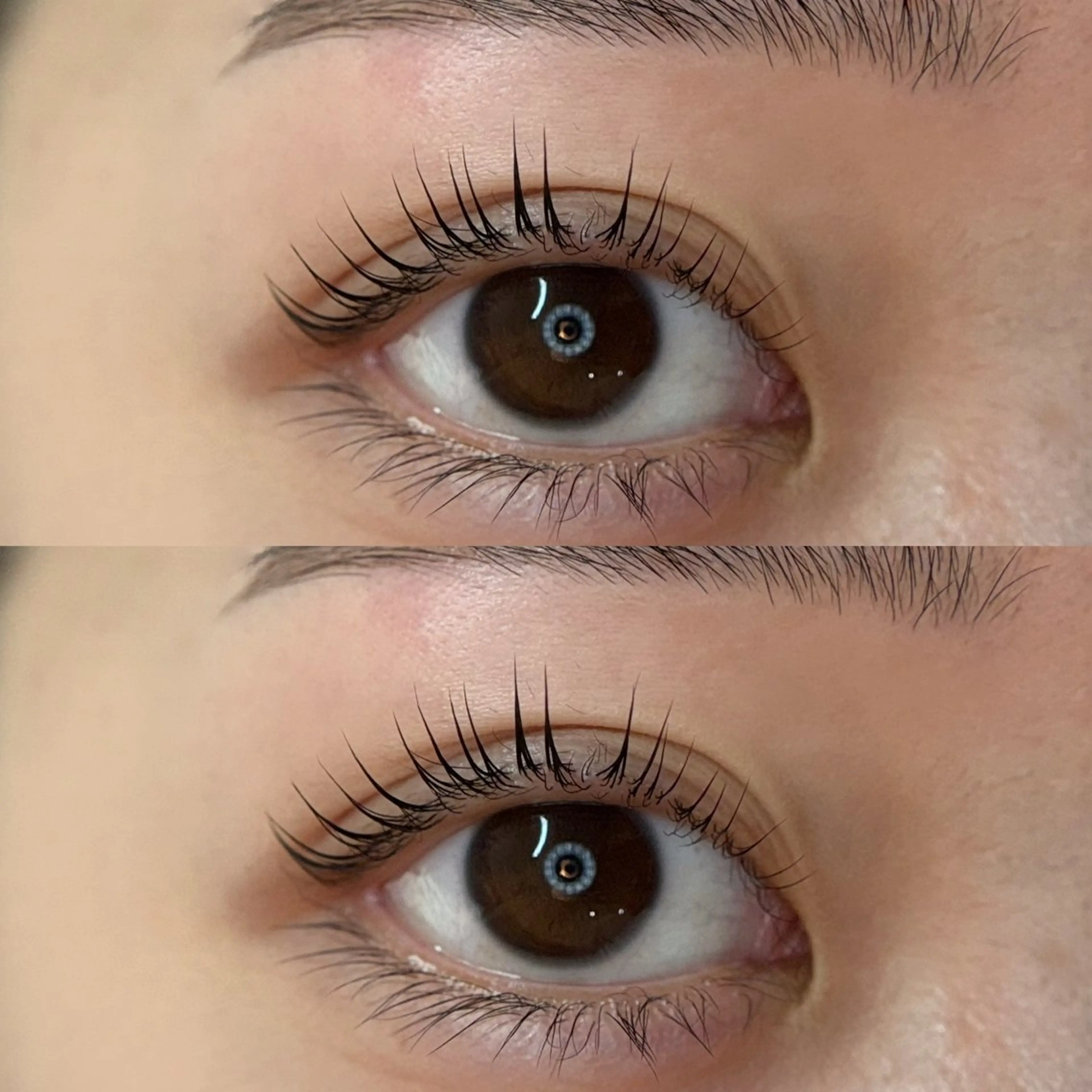 マツエク・マツパ パリジェンヌラッシュリフト MEME🐰 上本町/谷九のマツエク・マツパデザイン