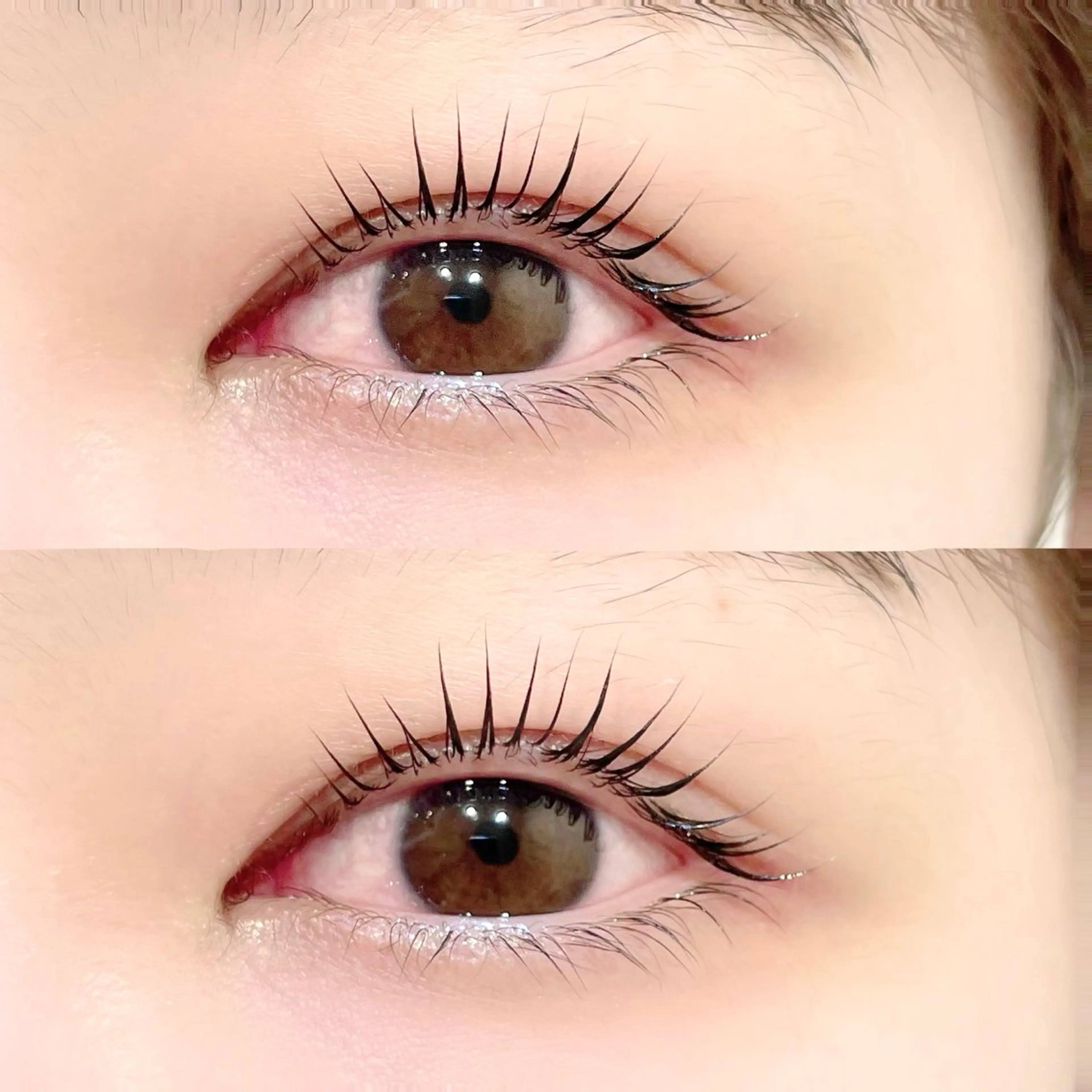 マツエク・マツパ マツパ GO TODAY 表参道Luce店所属・ラッシュリフト / eri🎀のマツエク・マツパデザイン