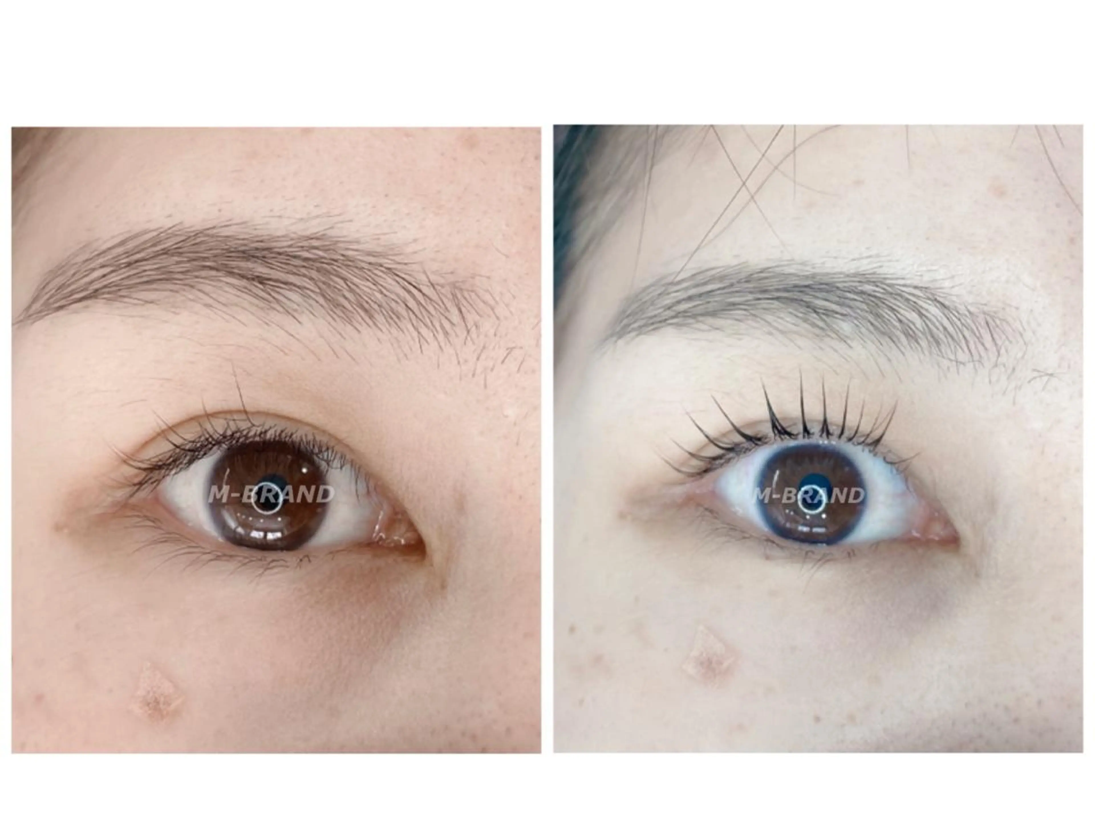 マツエク・マツパ パリジェンヌラッシュリフト エクスキャンベル本店所属・エクスキャンベル 本店のマツエク・マツパデザイン