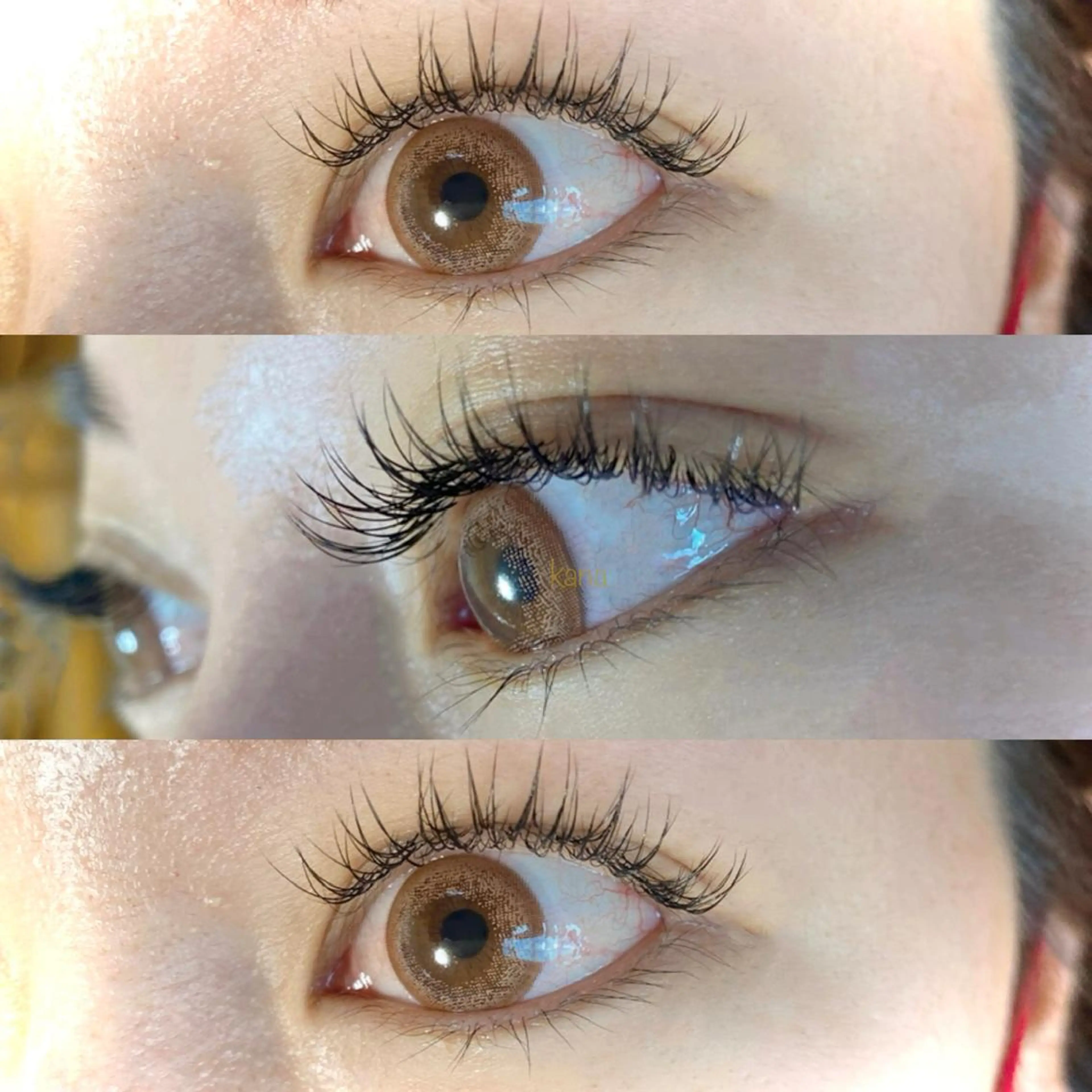 【minimo限定価格🌟】🌵シングルエクステ1時間付け放題🌵の写真