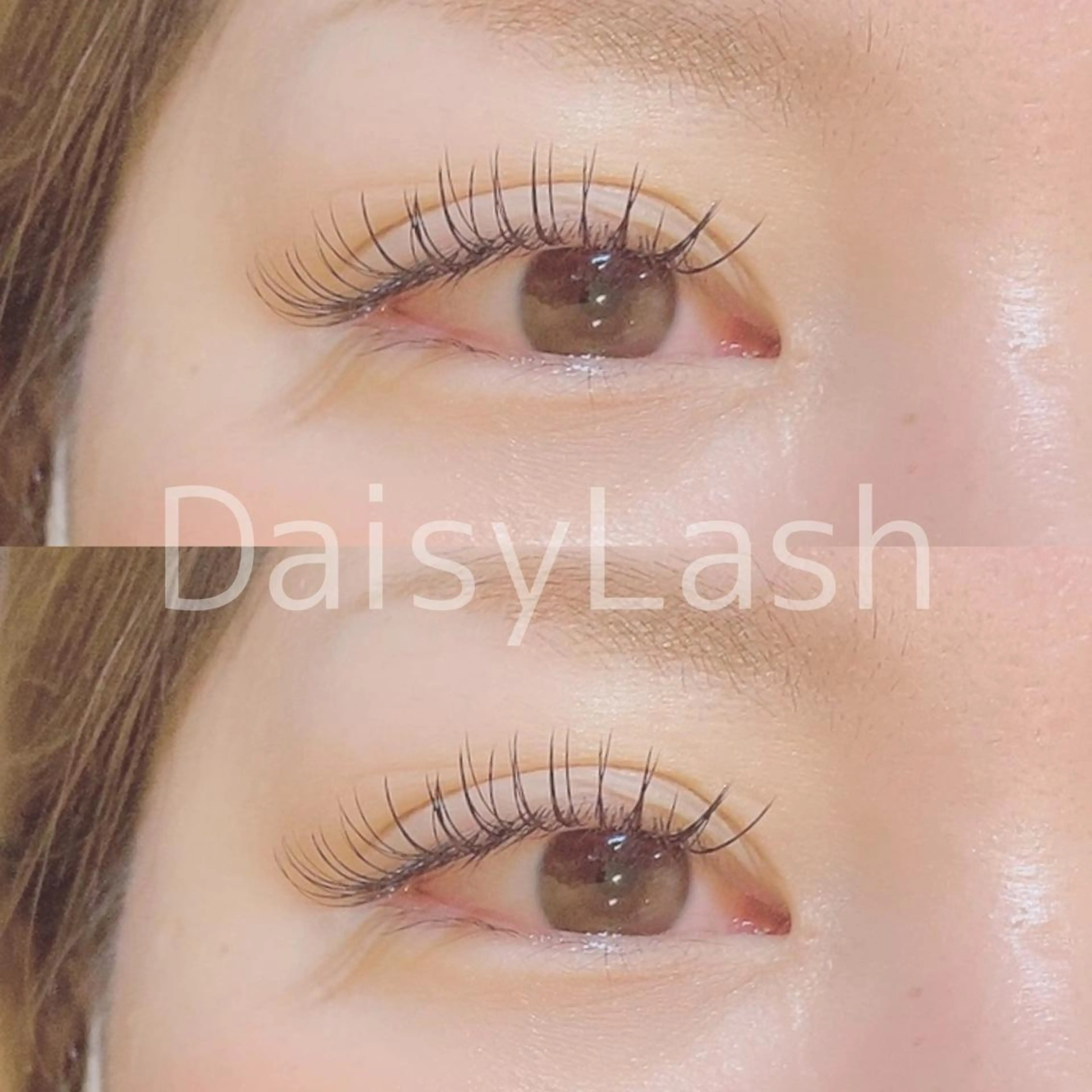 マツエク・マツパ DaisyLash 京橋店のマツエク・マツパデザイン