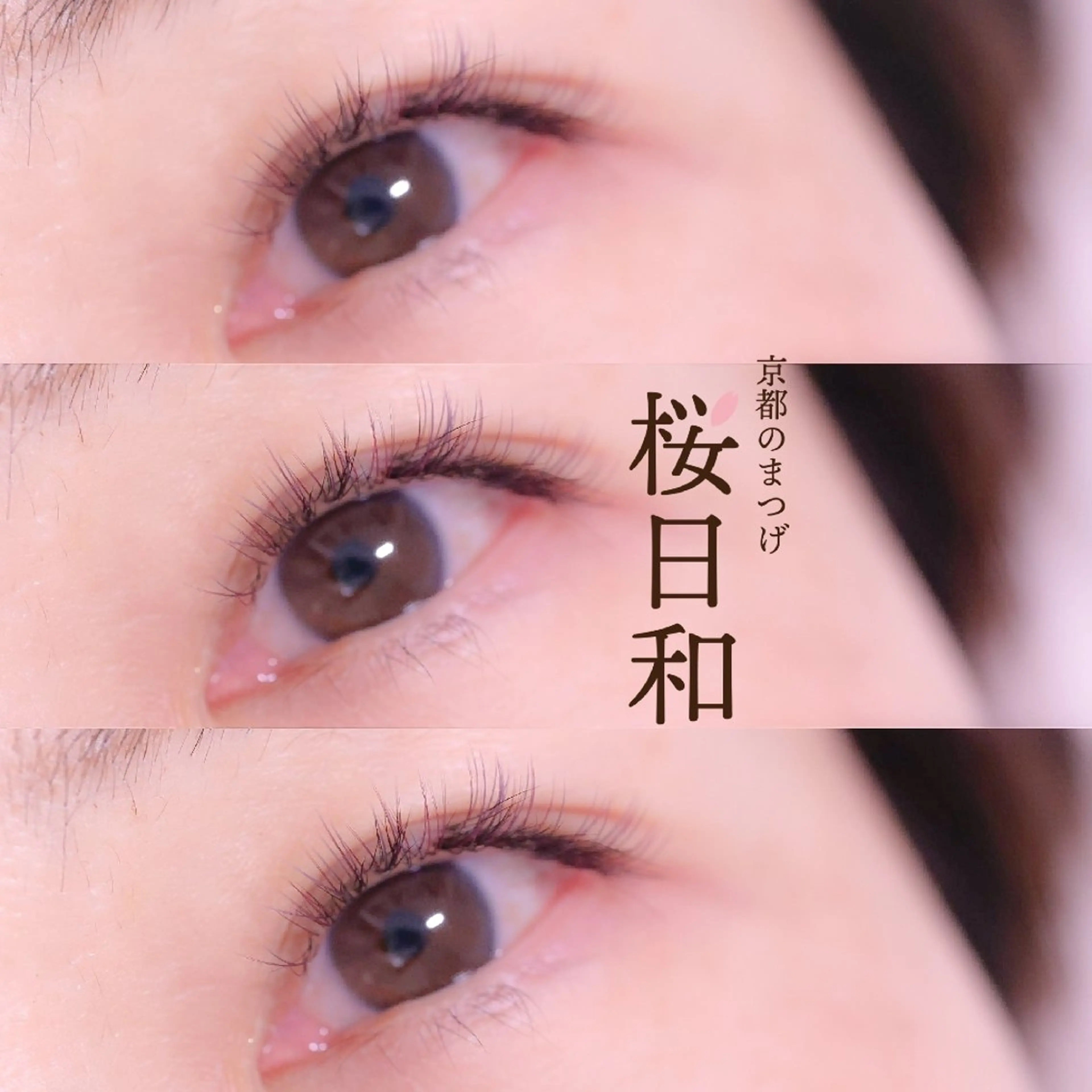 マツエク・マツパ フラットラッシュ ナチュラル マツエク 京都のまつげ桜日和 小島美桜のマツエク・マツパデザイン