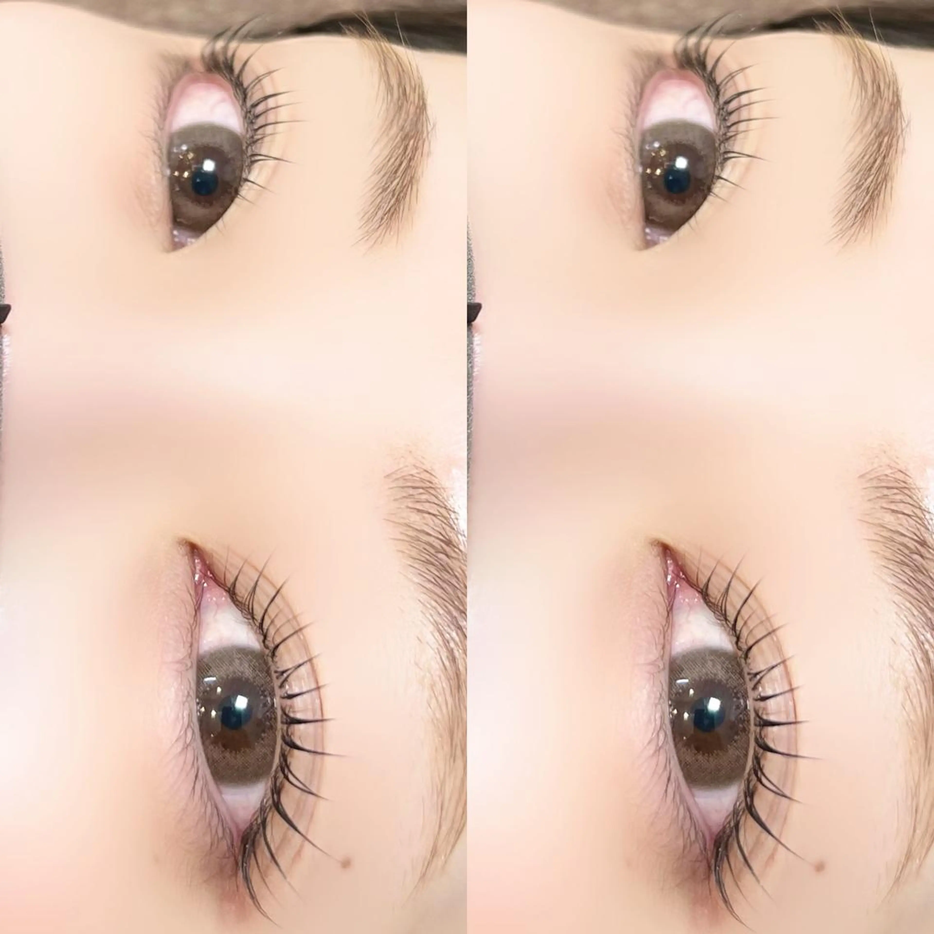 マツエク・マツパ パリジェンヌラッシュリフト マツパ 【myonsil】 Suzuki*のマツエク・マツパデザイン