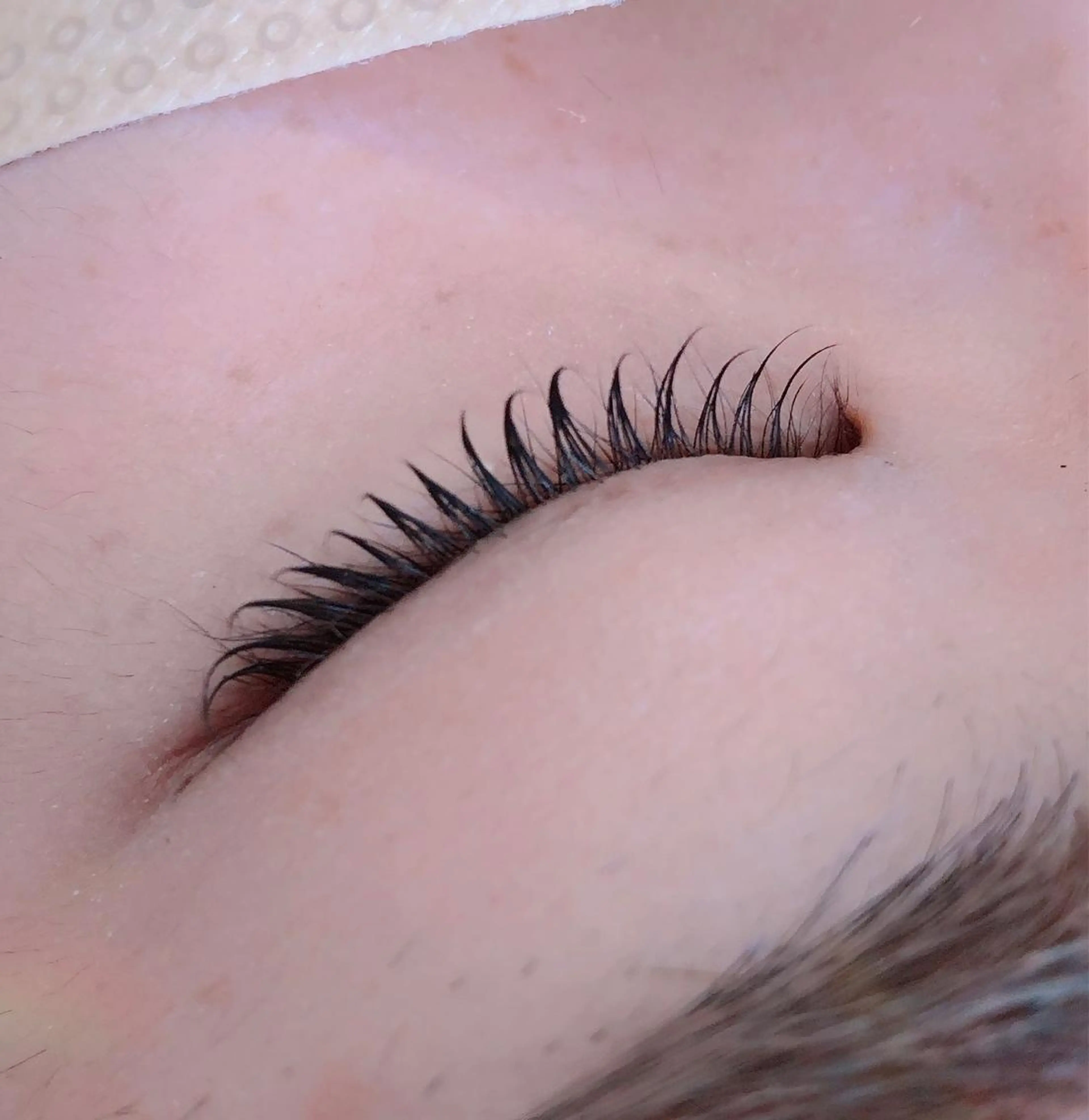 マツエク・マツパ eyelash/eyebrow　salon Fika所属・水軒 朋美のマツエク・マツパデザイン