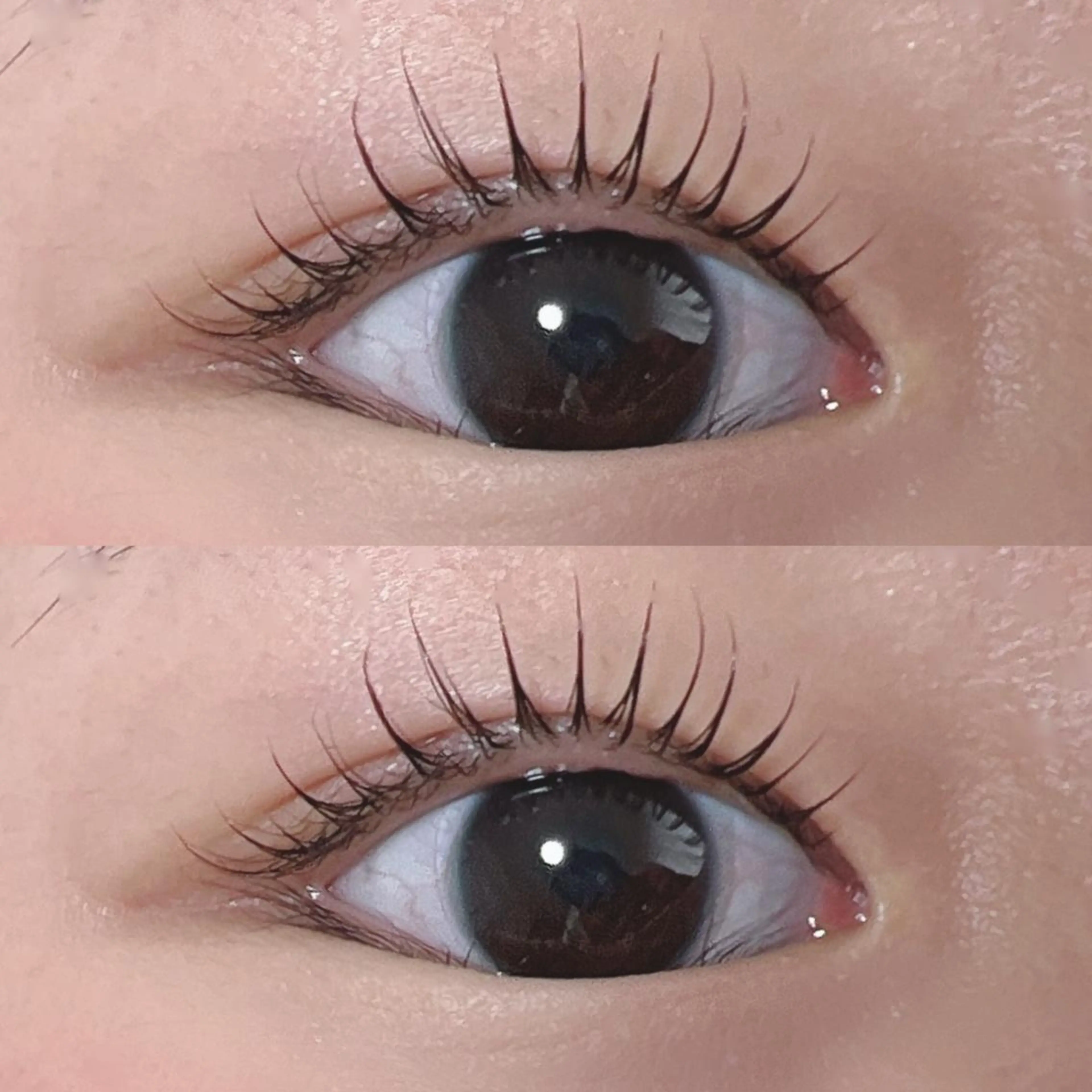 マツエク・マツパ Lim Naomiのマツエク・マツパデザイン