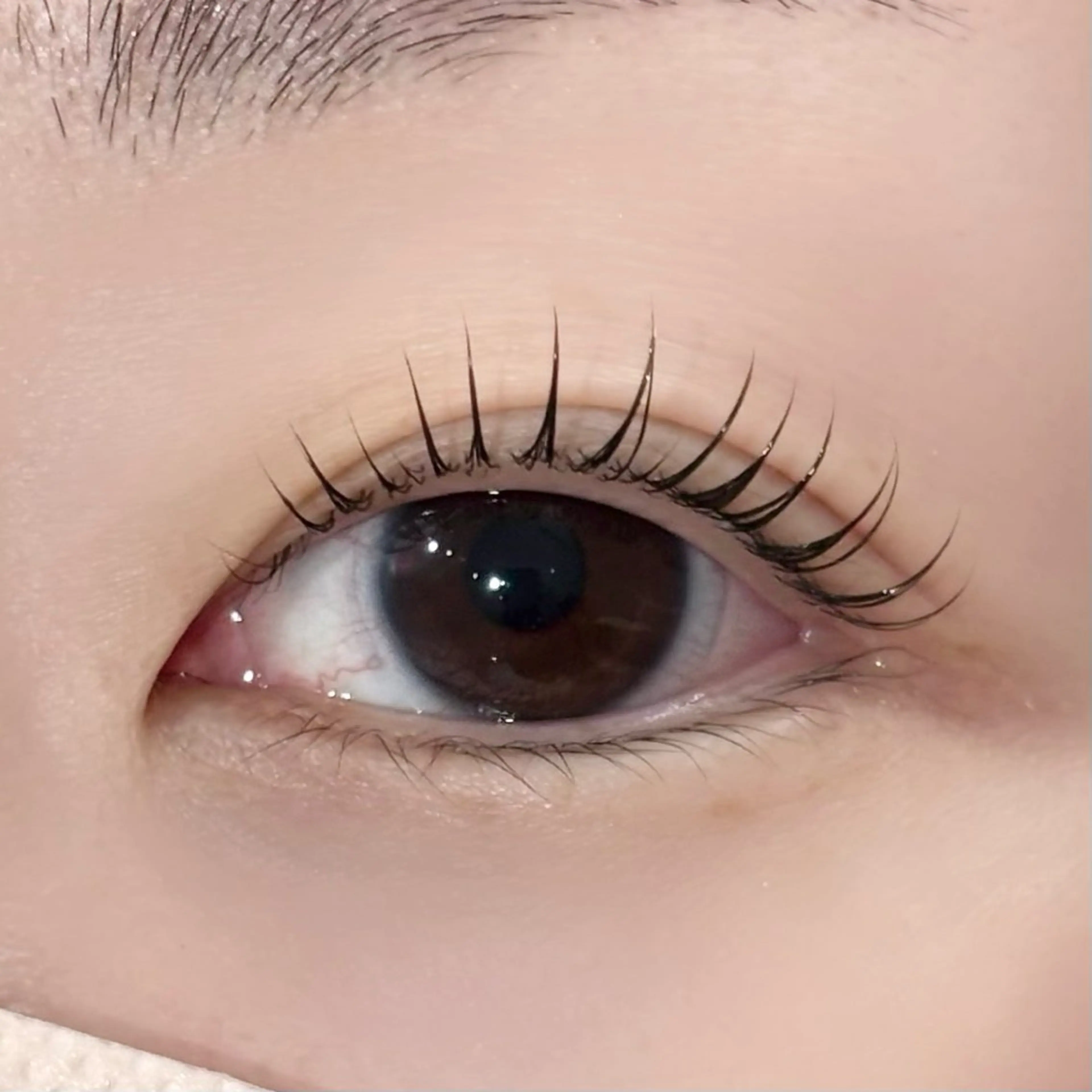 マツエク・マツパ マツパ saki 🍎名駅のマツエク・マツパデザイン