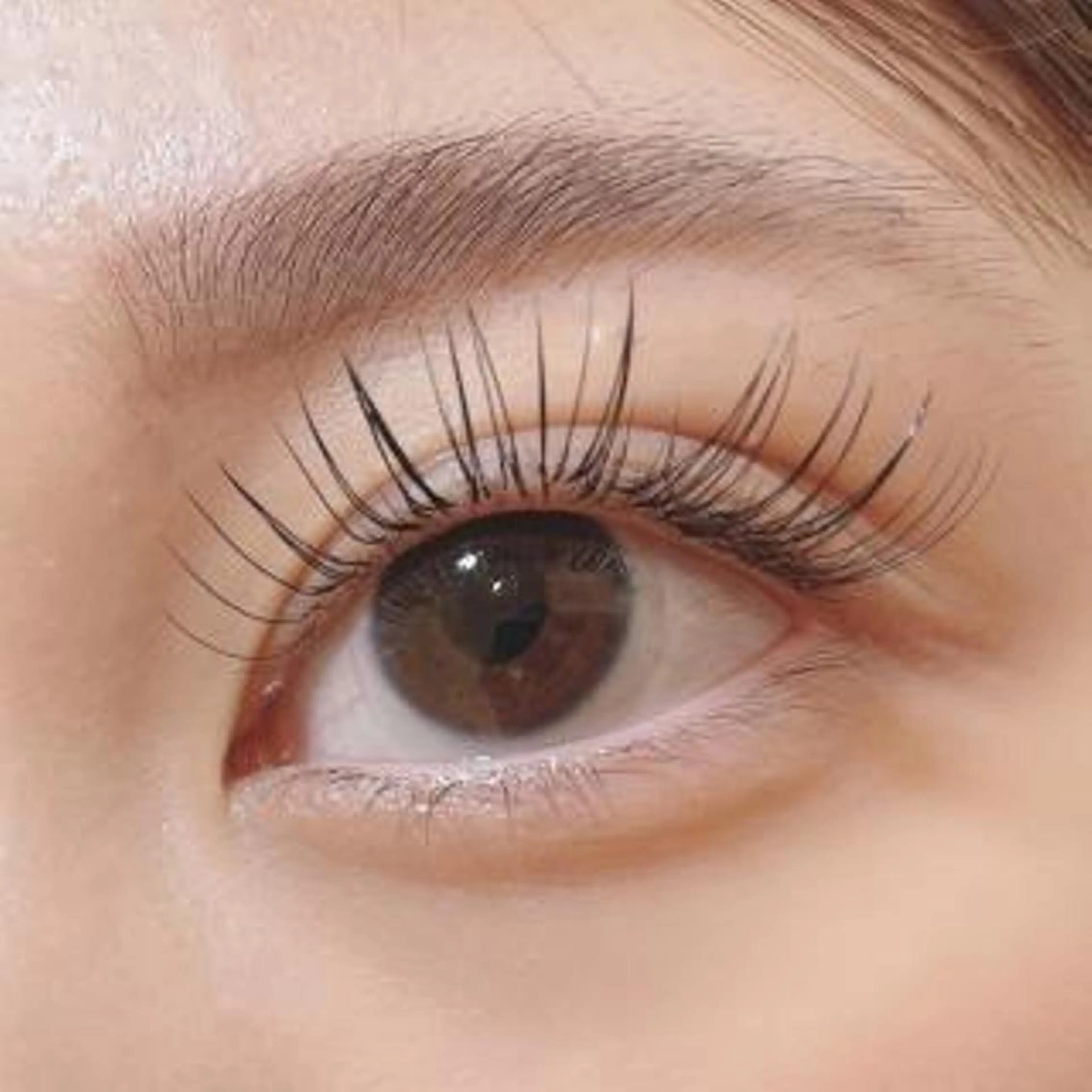 マツエク・マツパ パリジェンヌラッシュリフト TRICO八幡山所属・TORIC Taketaのマツエク・マツパデザイン