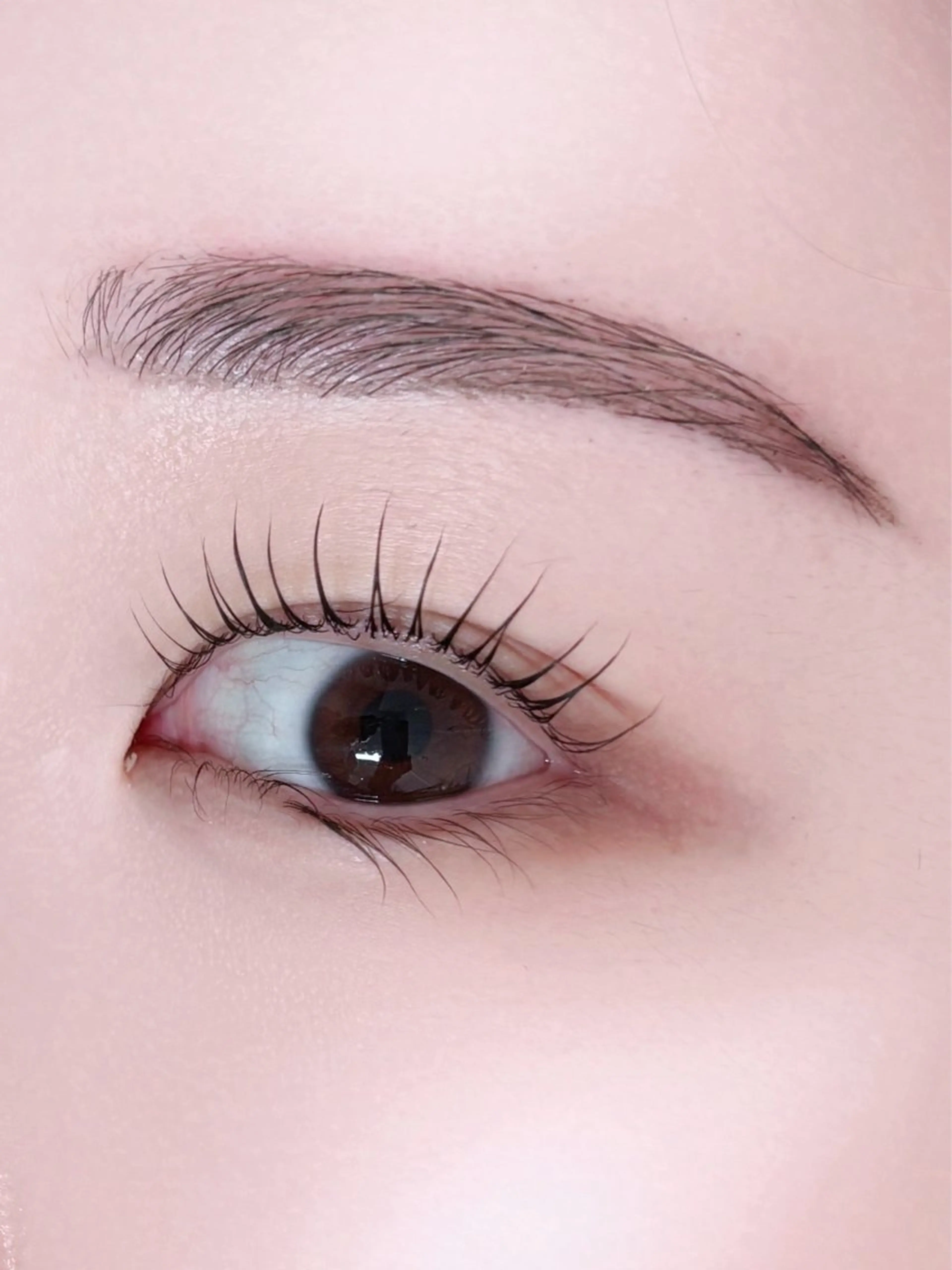 20時​〜​限定🌙🎀潤いまつ毛パーマ（上のみ）&アイブロウwax🎀の写真