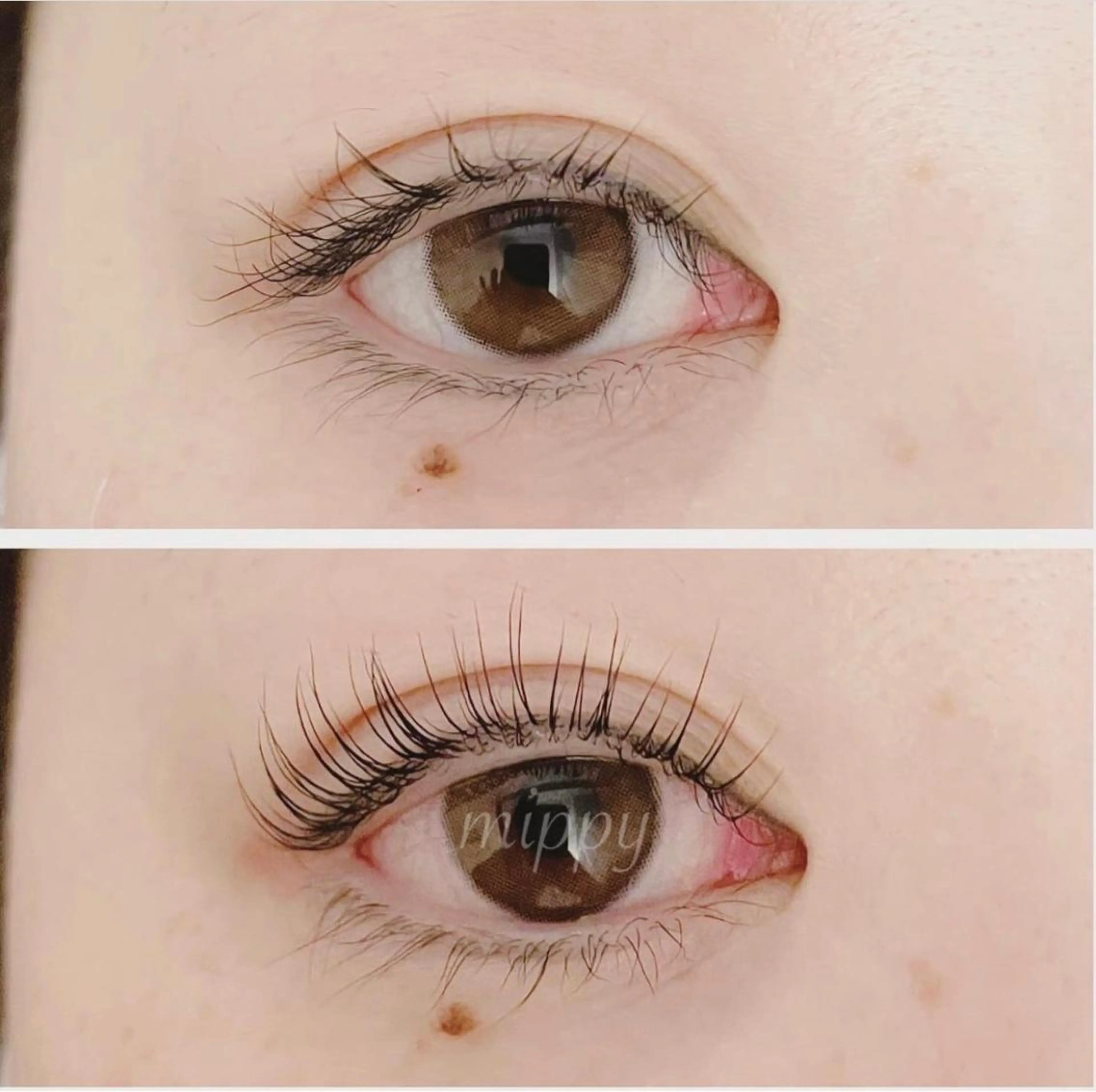 マツエク・マツパ ｍｉｐｐｙ 🪽のマツエク・マツパデザイン