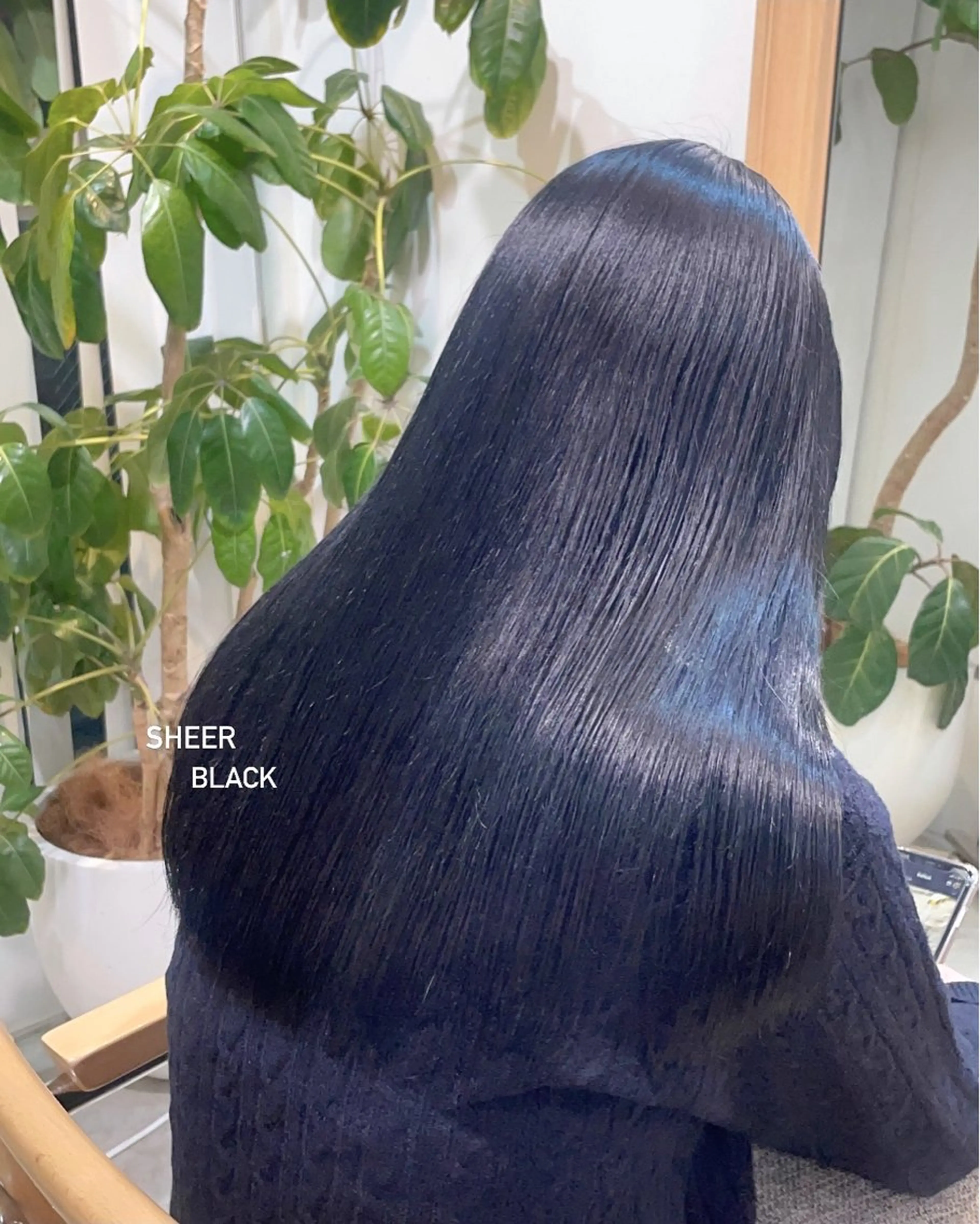 カラー 🎀 liz🎀のヘアスタイル