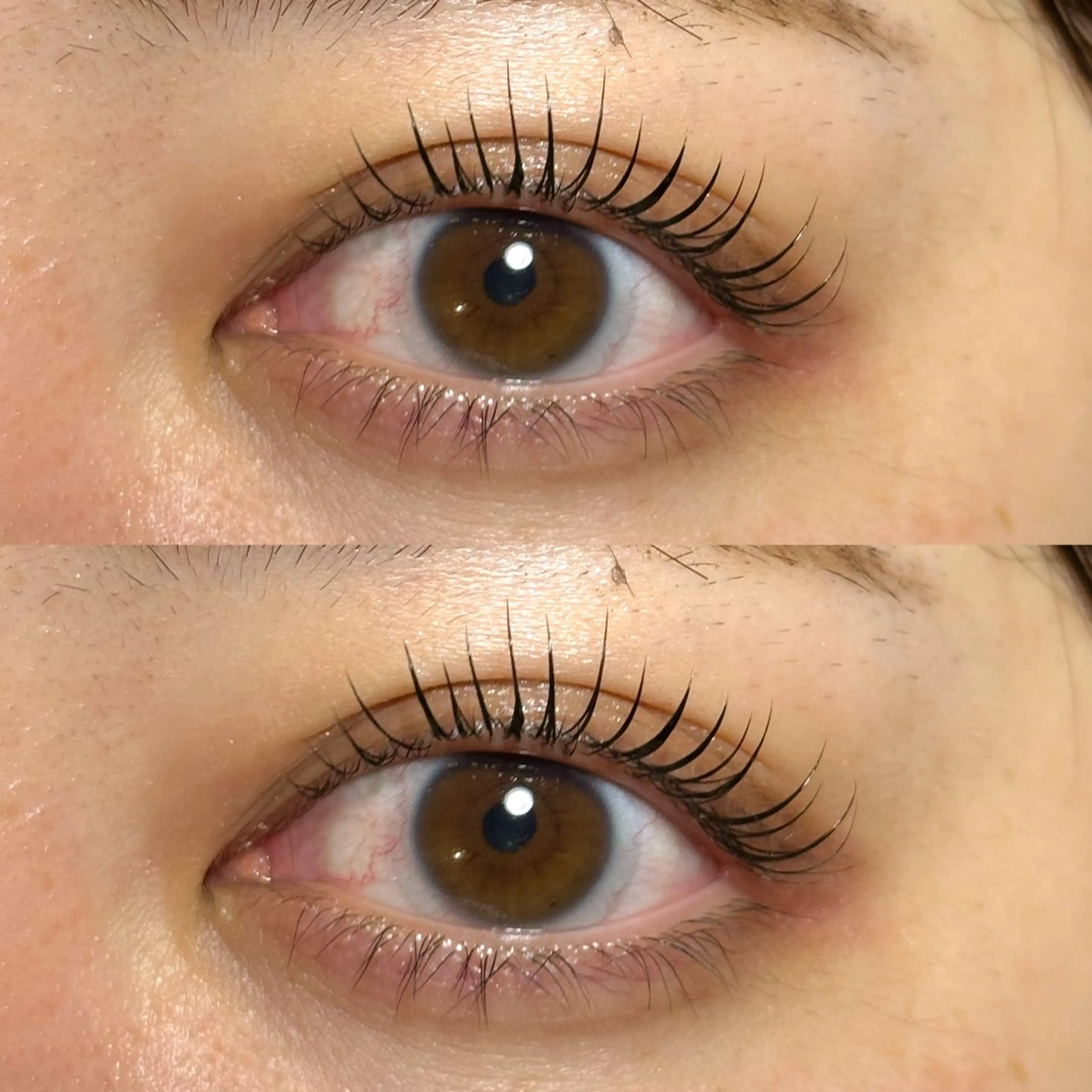 マツエク・マツパ マツパ 向井 萌華の眉毛・アイブロウイメージ