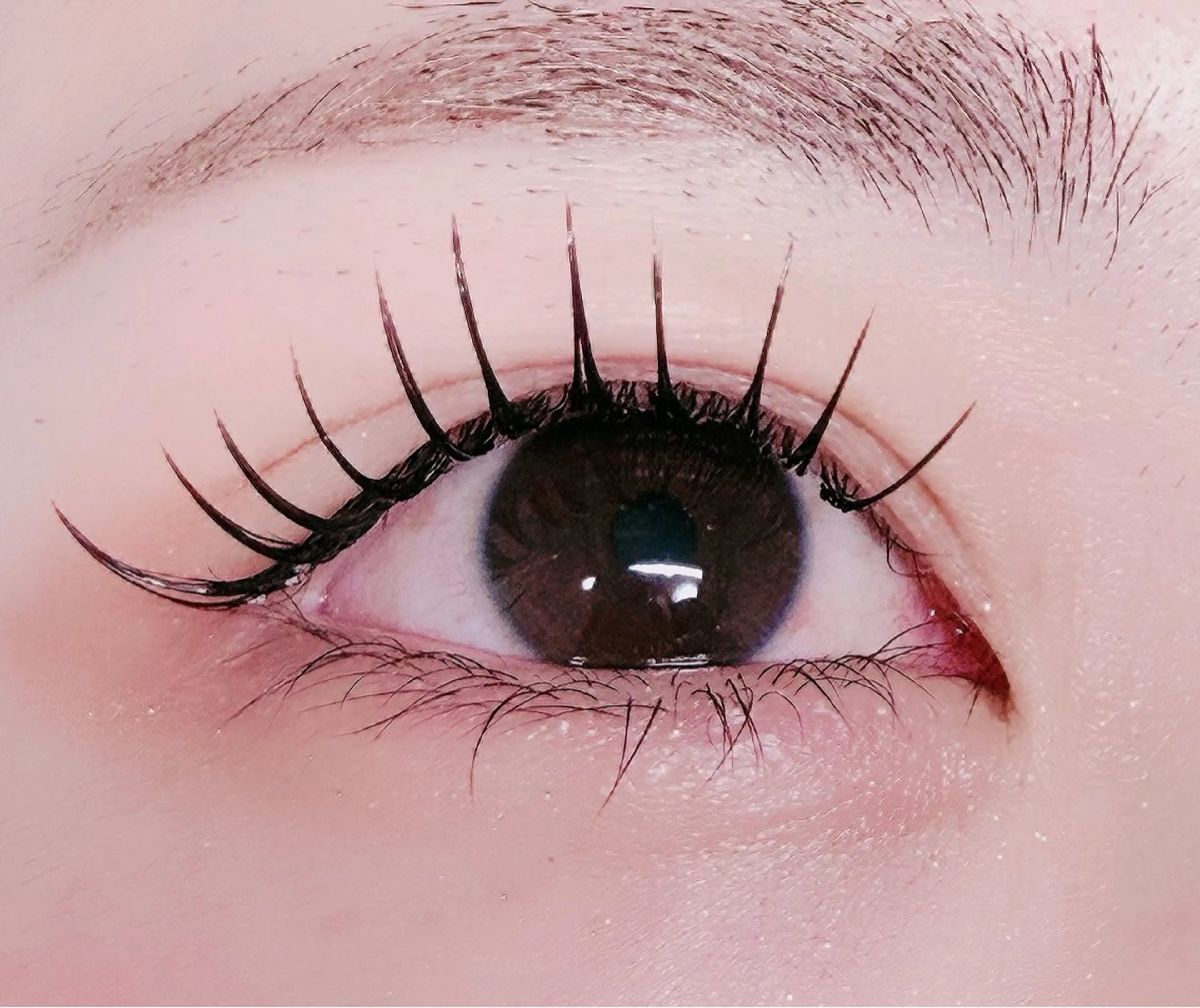 マツエク・マツパ フラットラッシュ マツエク ルチア所属・ルチア💞 luciaのマツエク・マツパデザイン