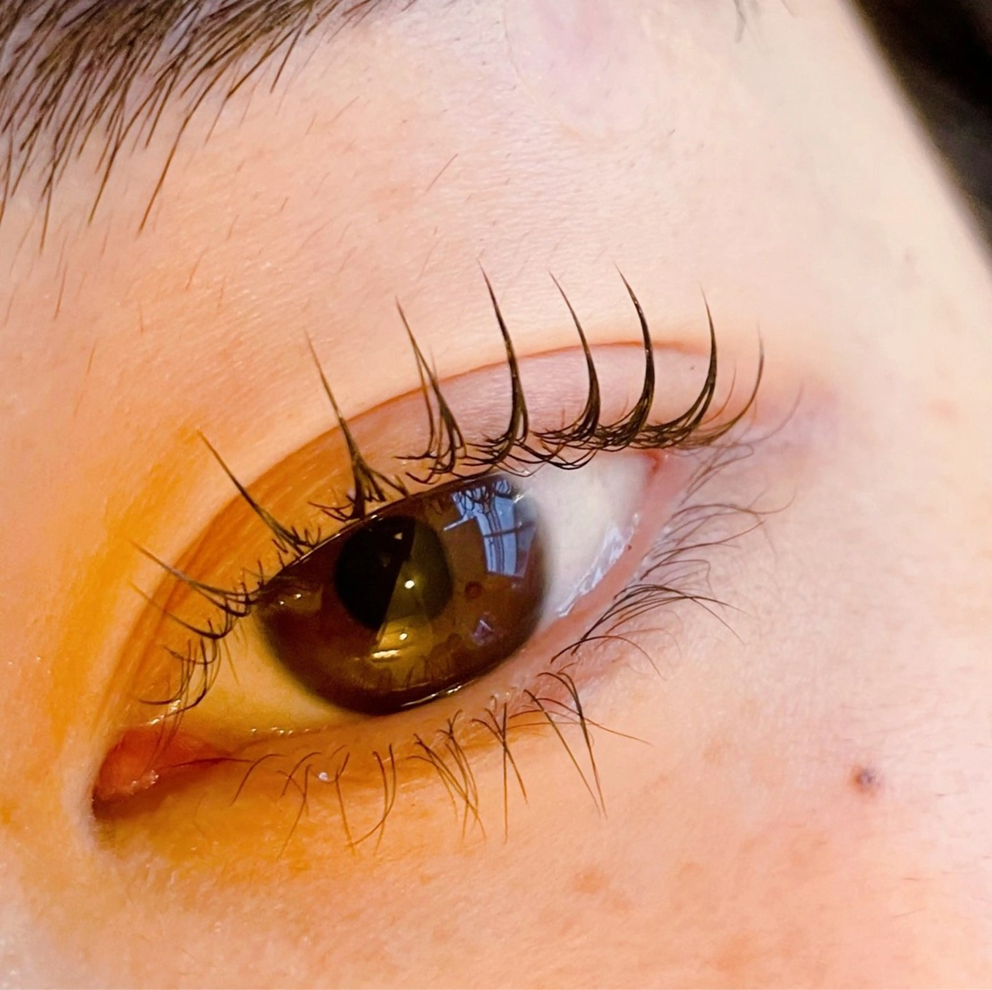 マツエク・マツパ まつげパーマ yamaoka Naturalのマツエク・マツパデザイン