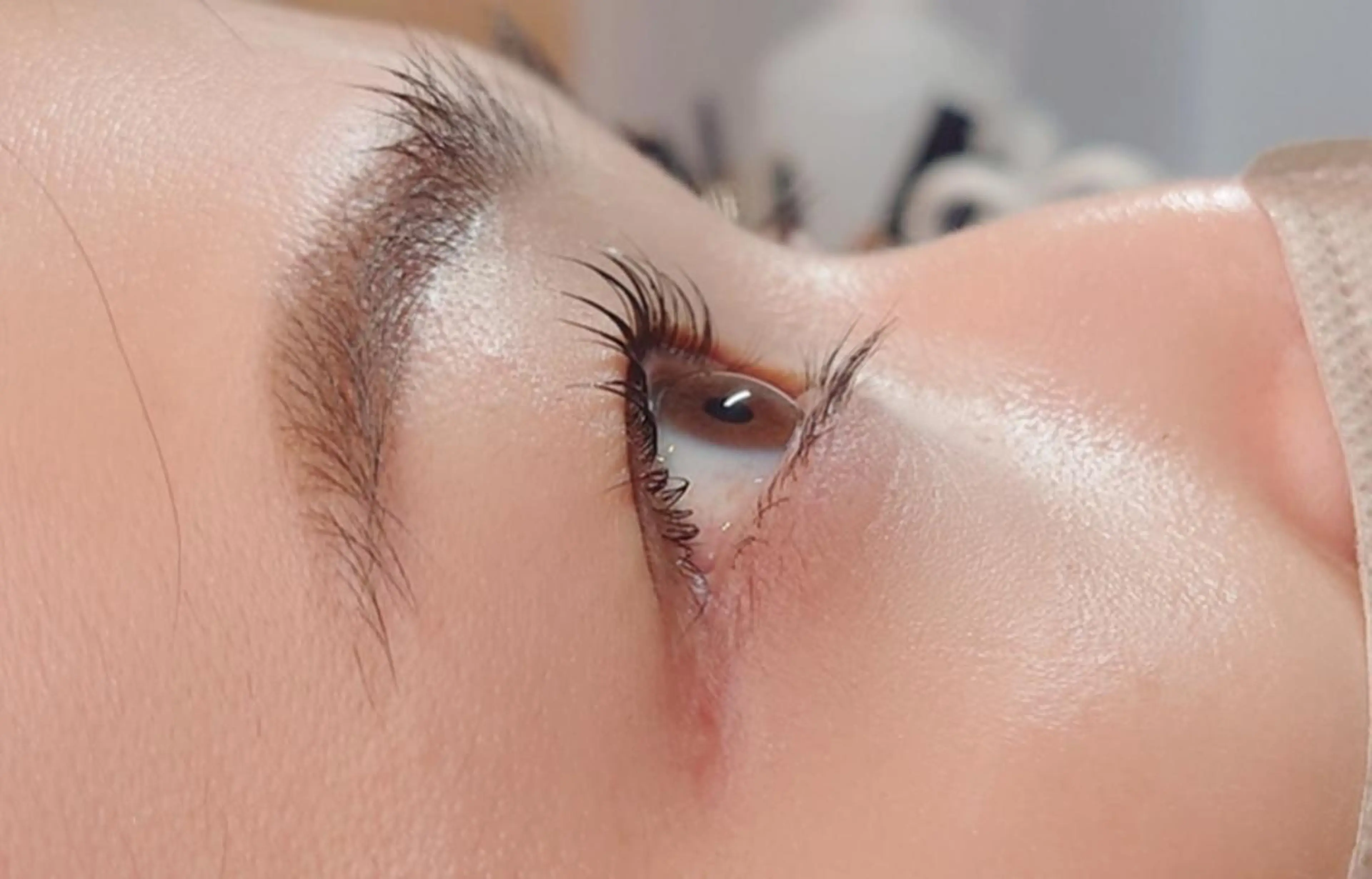 メンズ マツエク・マツパ ナチュラル NAZ eyelash&eyebrow by medical salon所属・NAZ 表参道 Tomokoのマツエク・マツパデザイン