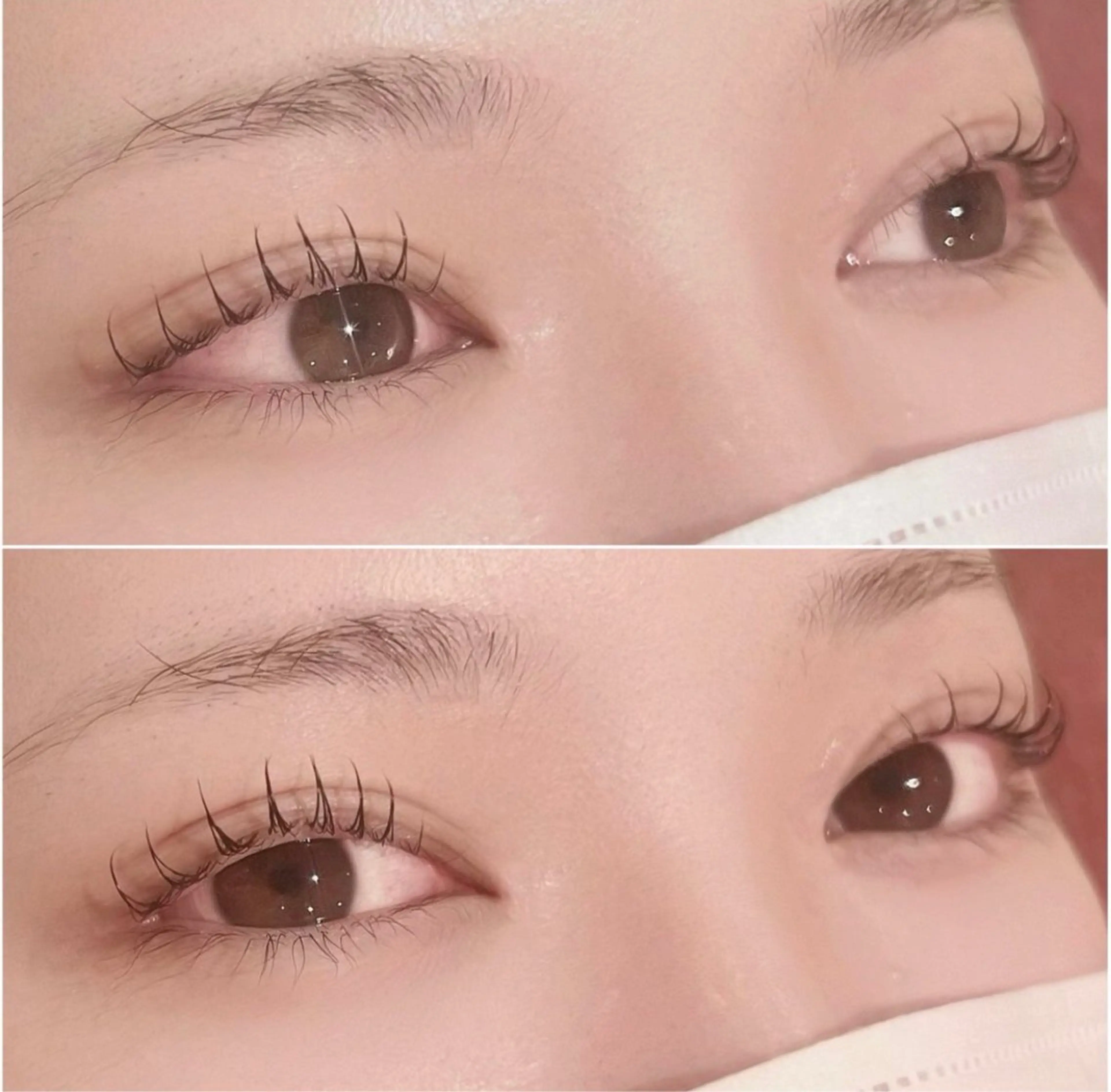 ラッシュリフトの写真