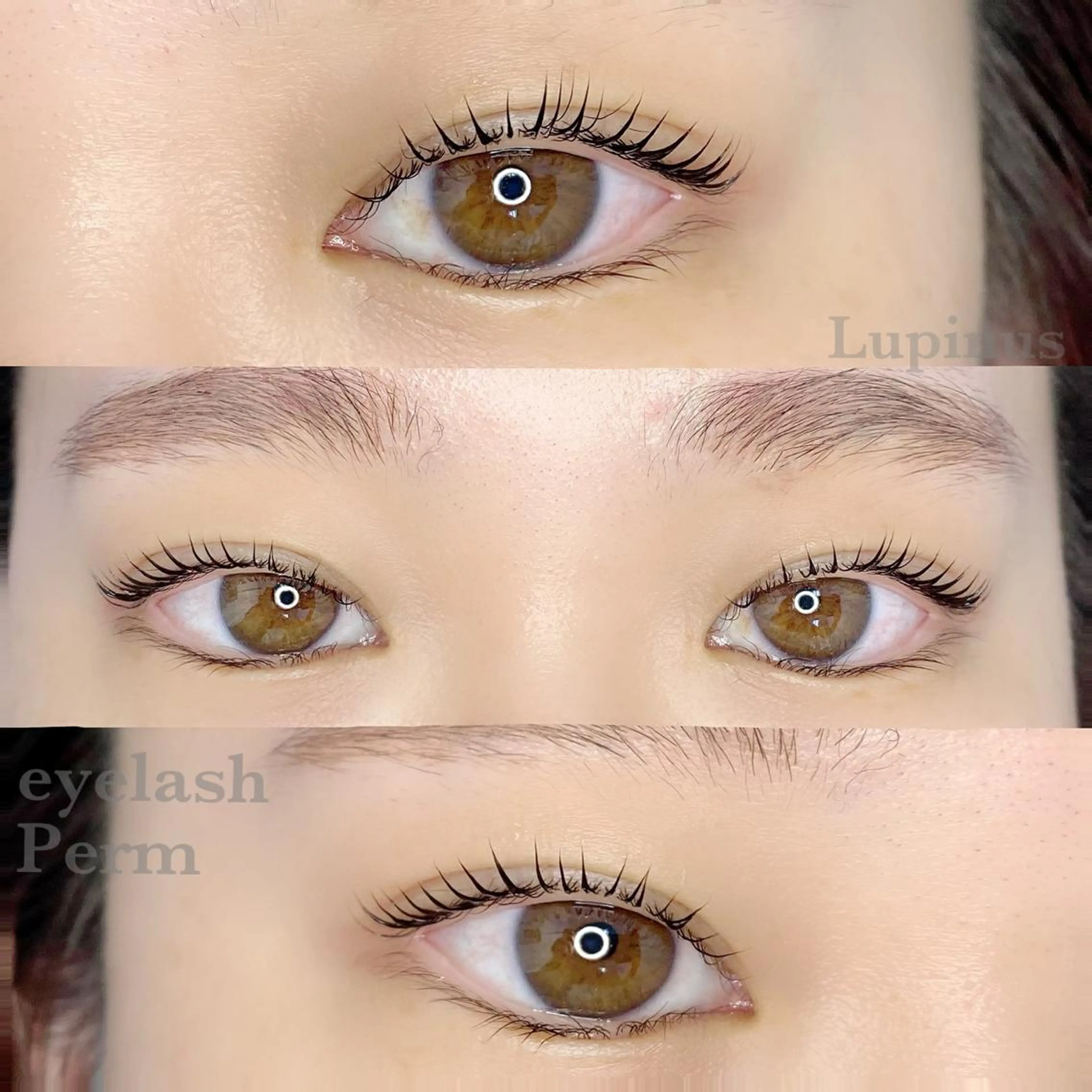 マツエク・マツパ まつげパーマ LAND【ランド】 小鹿のマツエク・マツパデザイン