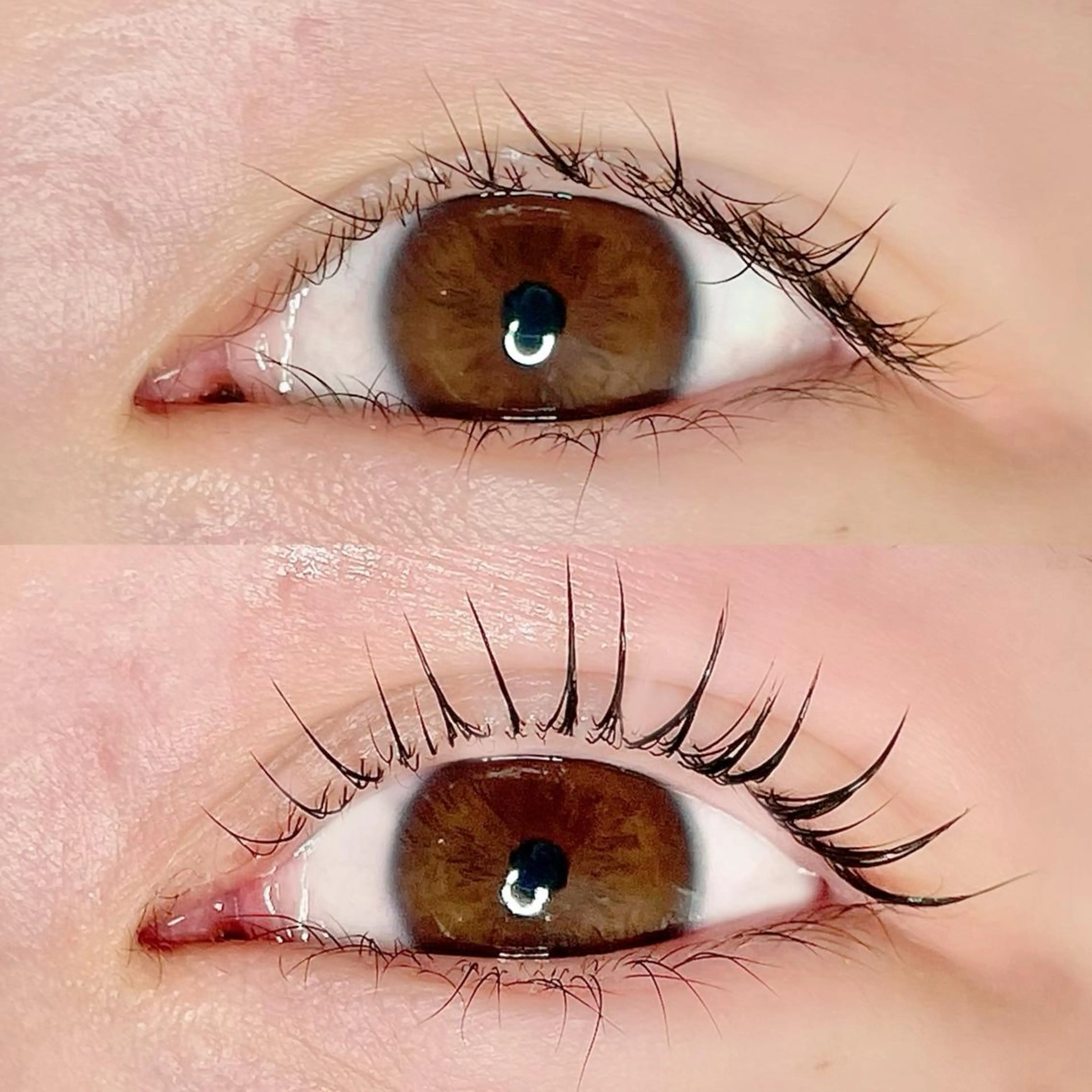 マツエク・マツパ AYLASH🧡 猪又のマツエク・マツパデザイン