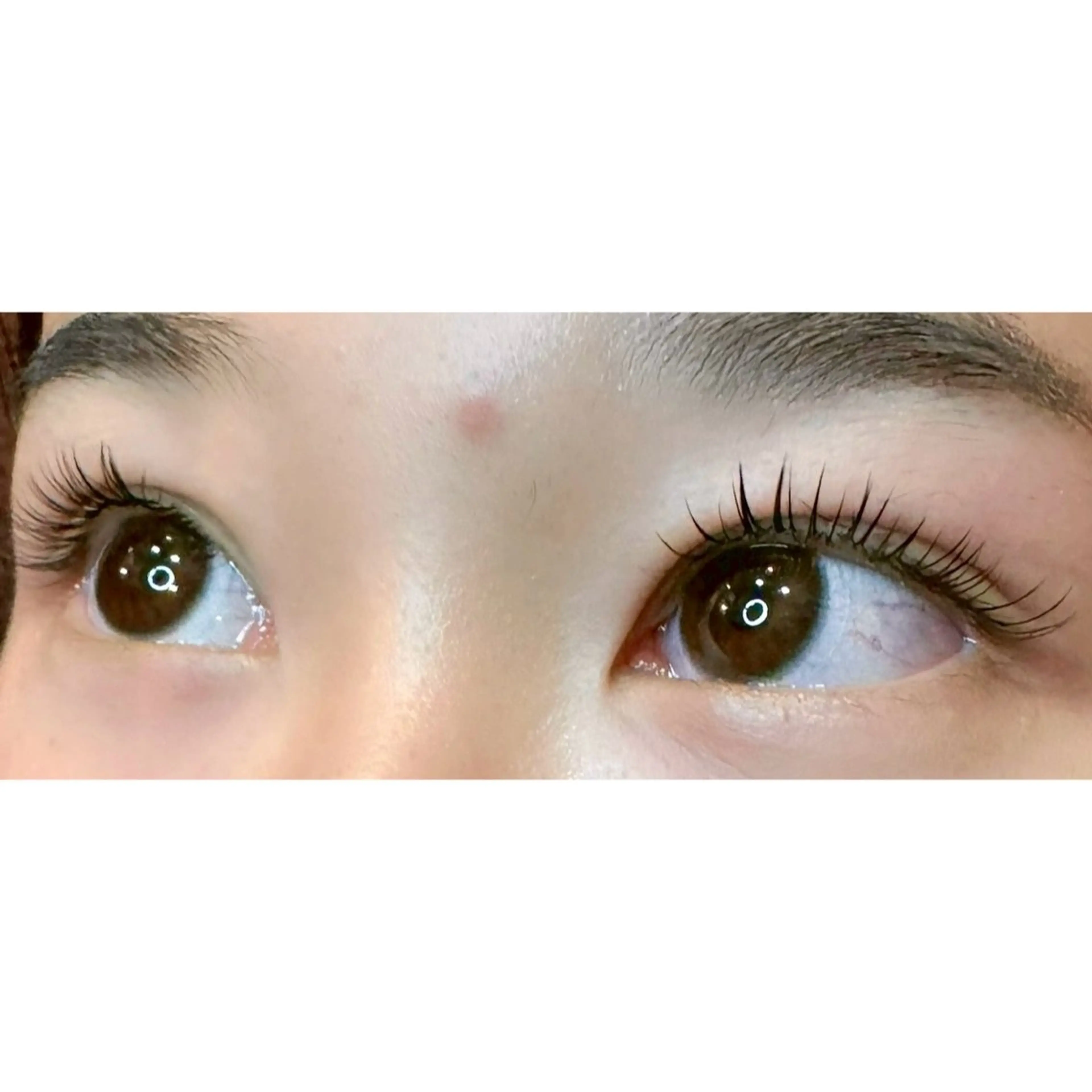 マツエク・マツパ マツエク MyFairLady asukaのマツエク・マツパデザイン