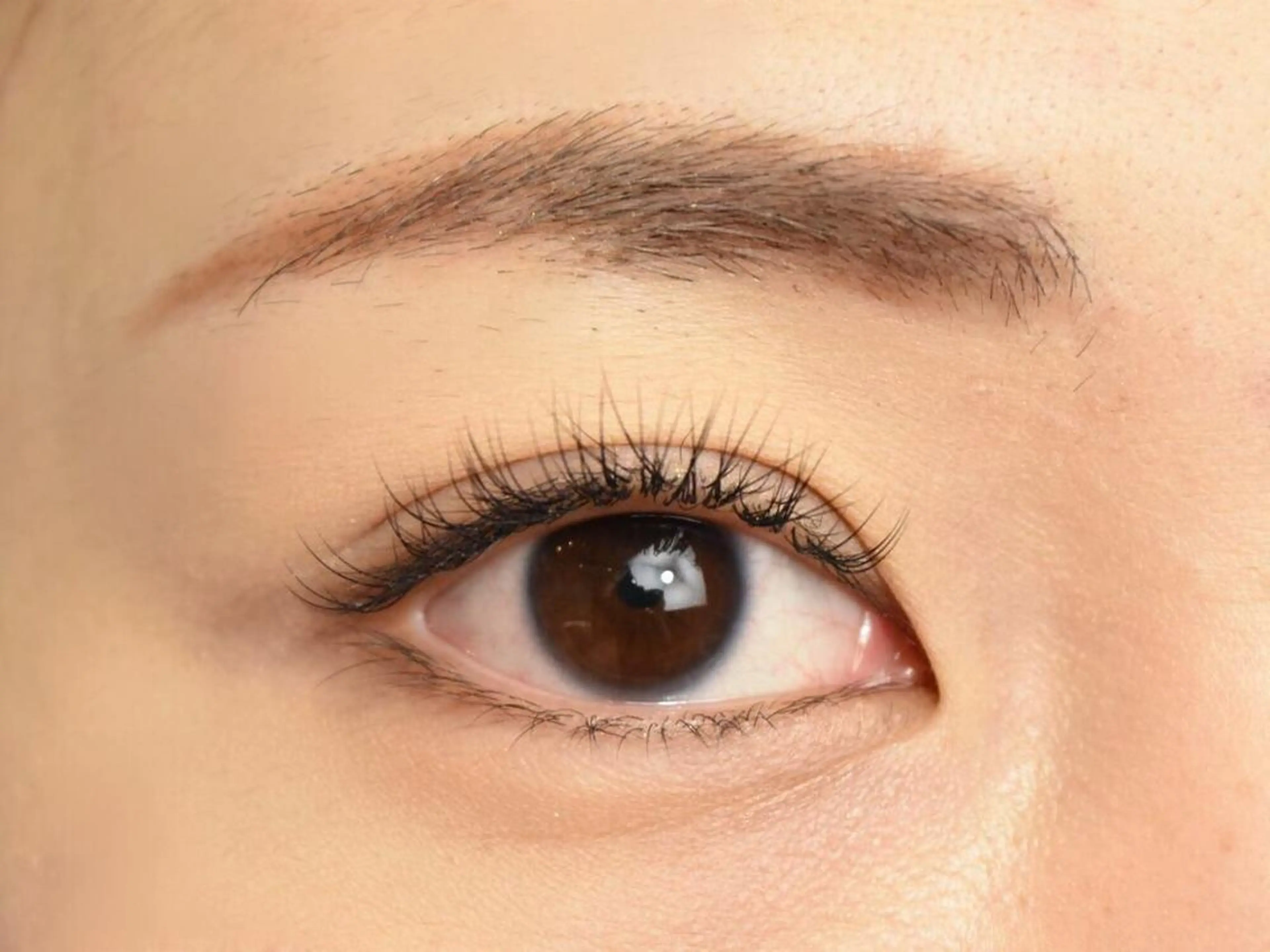 マツエク・マツパ Nest 三田のマツエク・マツパデザイン