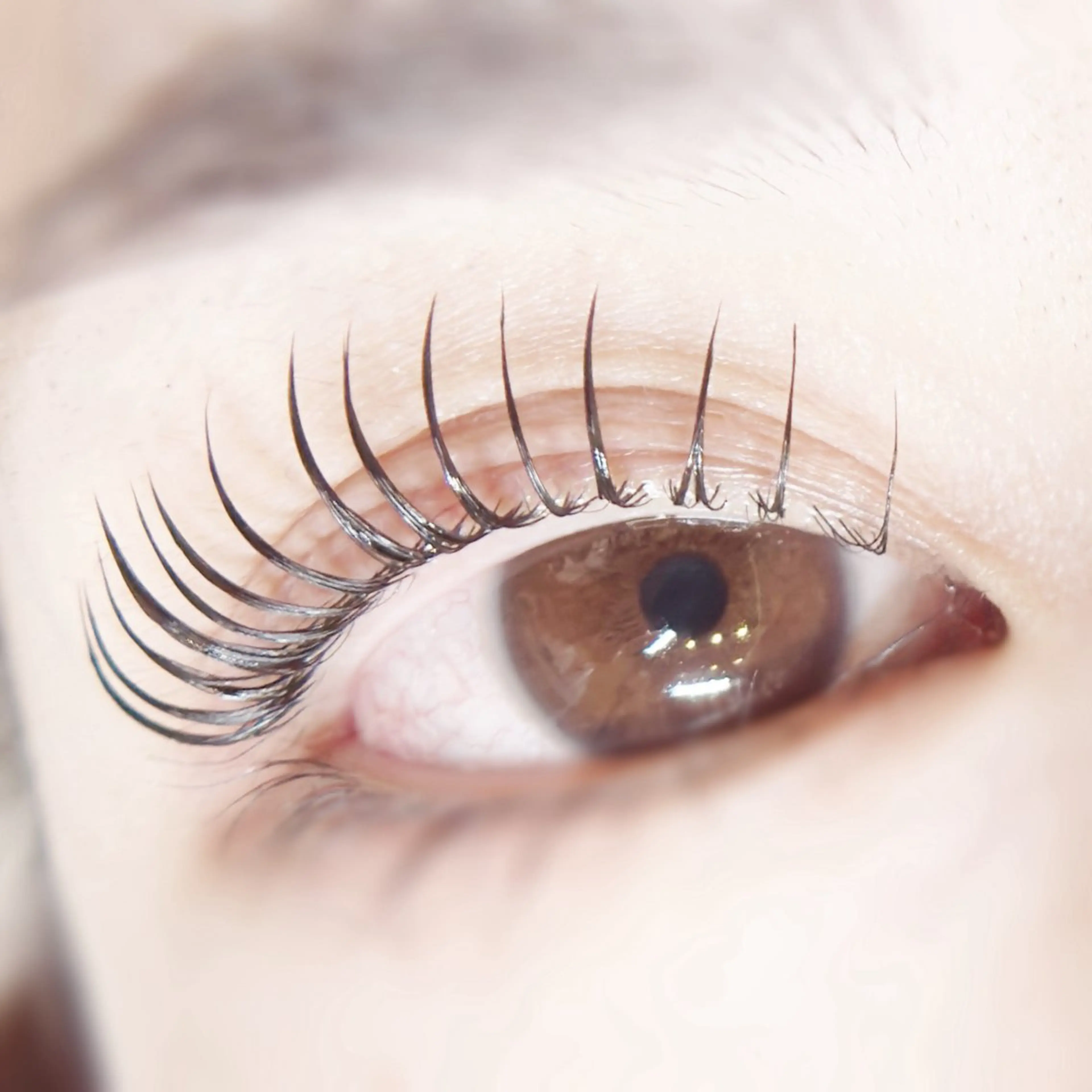 マツエク・マツパ 一重×まつ毛パーマ 【まつ毛パーマ/眉毛/毛穴ケア】Anoa'n所属・Anoa'n北千住 畠山菜緒のマツエク・マツパデザイン