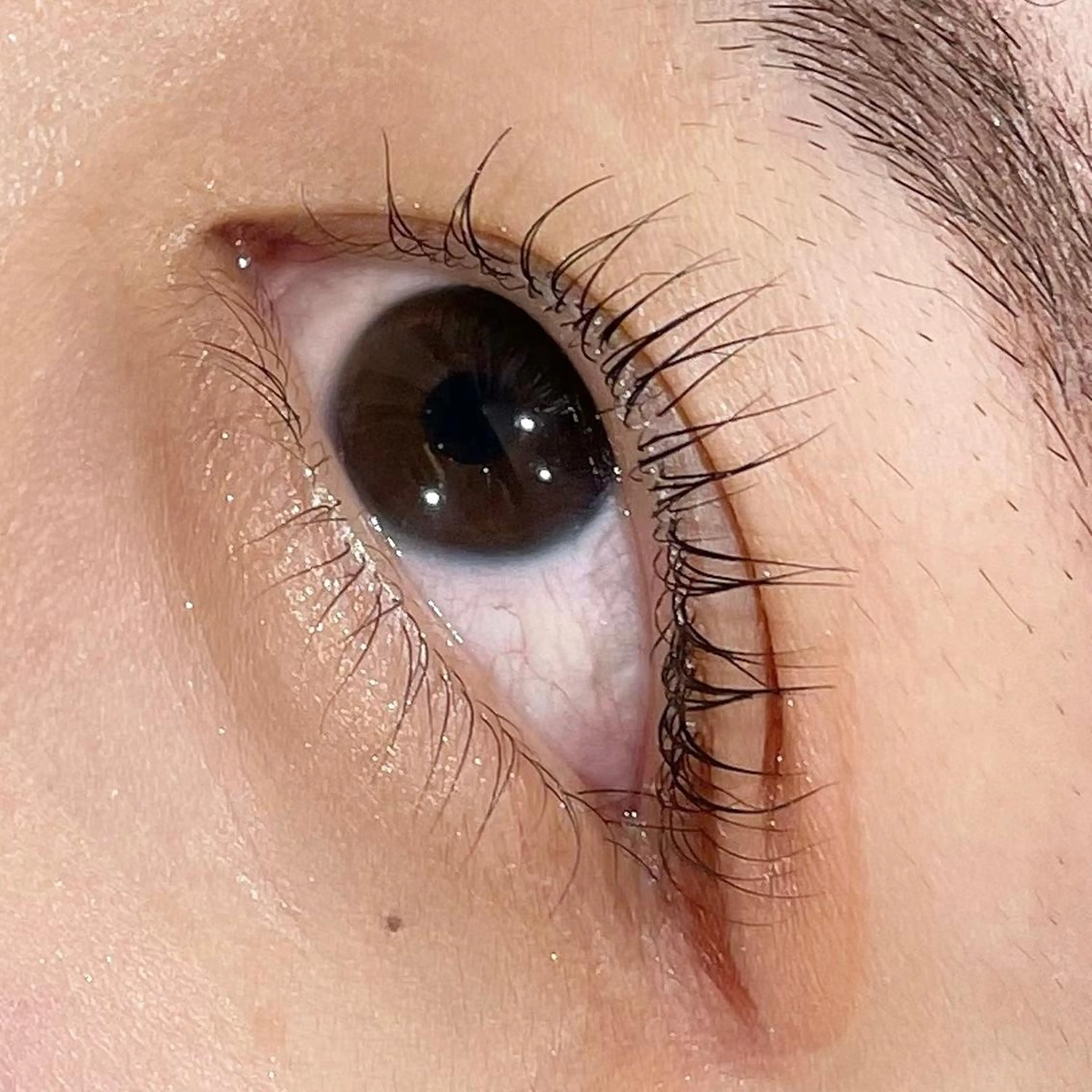 マツエク・マツパ Yui カットモデル募集中のヘアスタイル