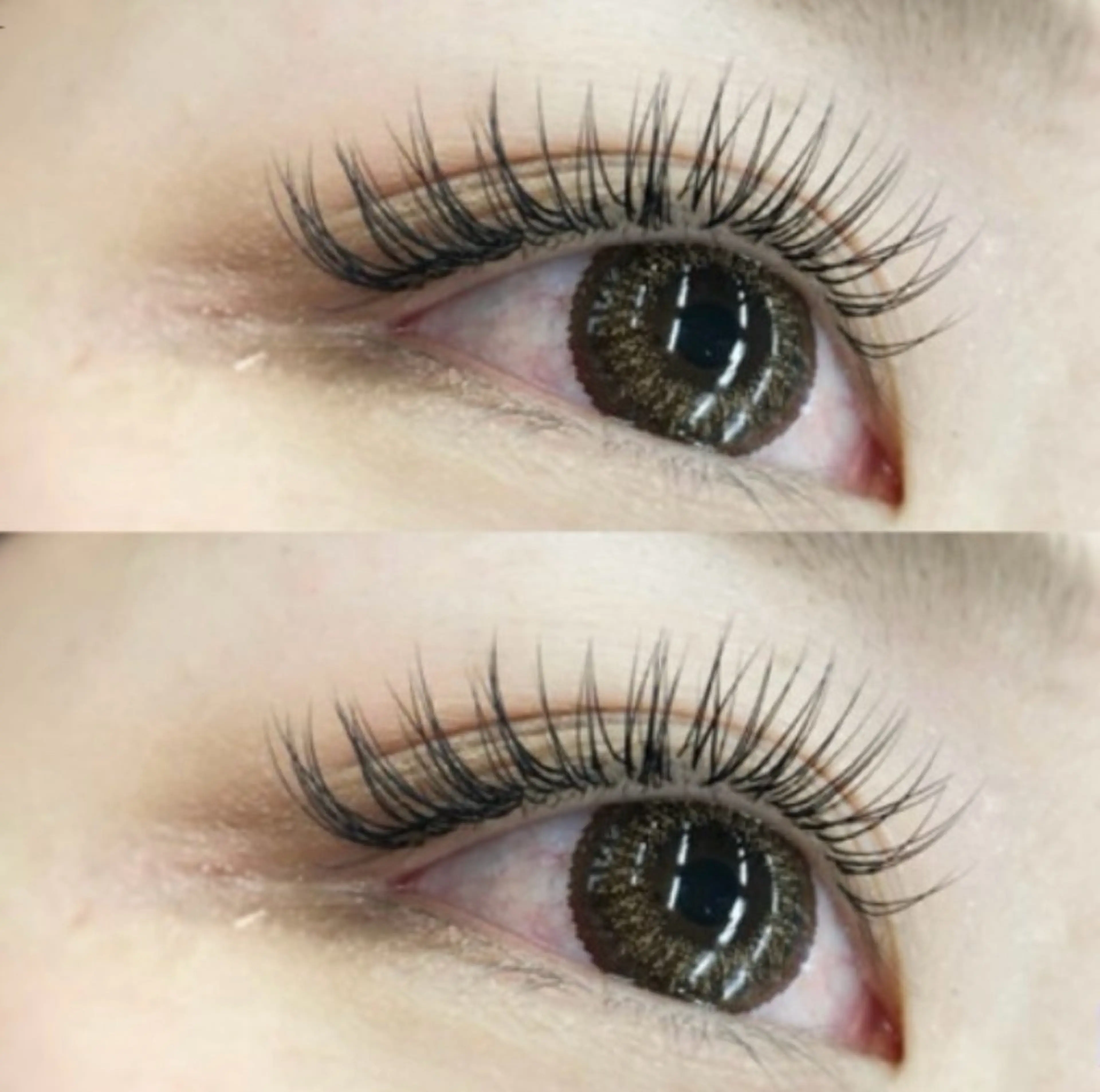 セーブルエクステ 140本🌷 オフ無料❣️の写真