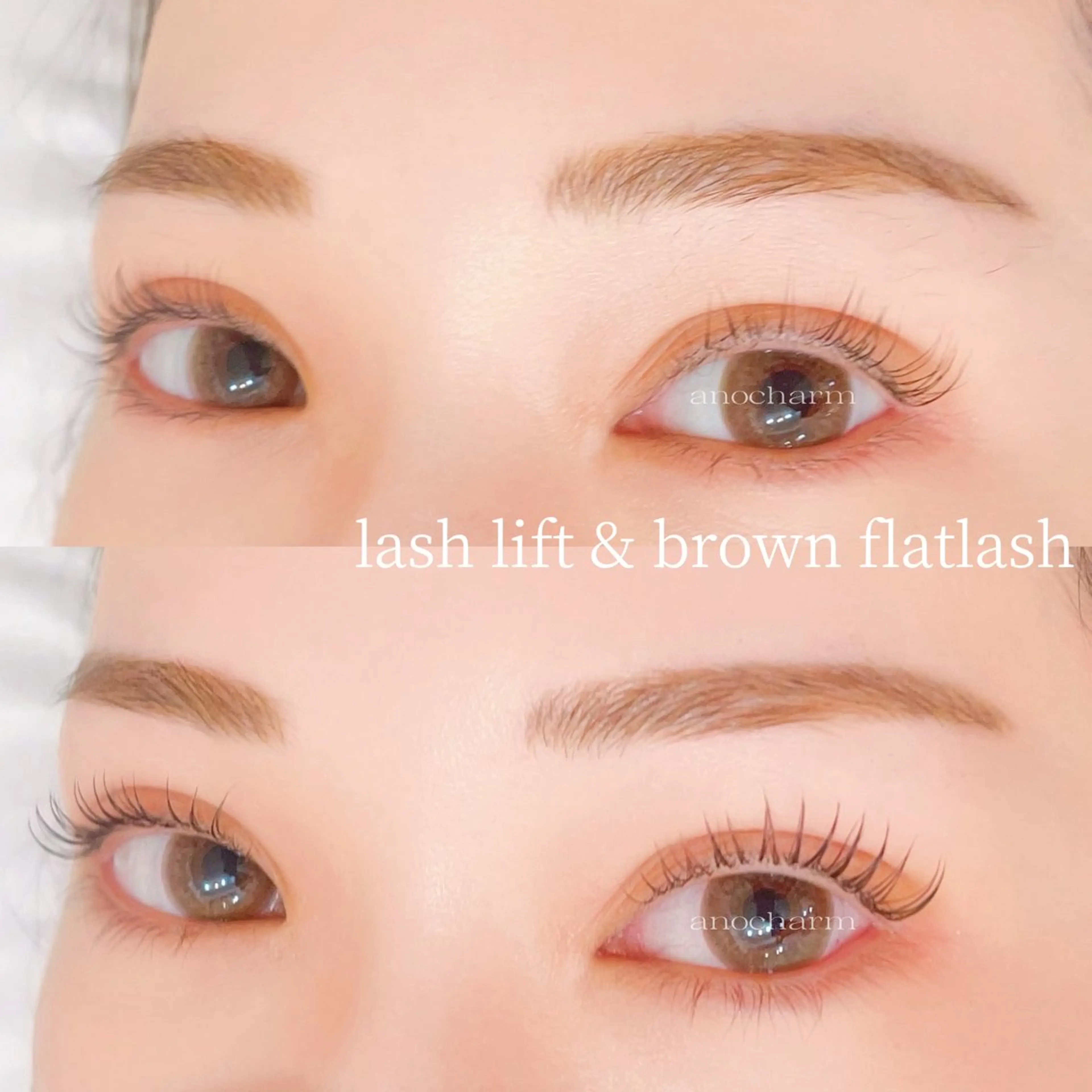 【初回限定パリエクLEDマツエク60本】ラッシュリフト×LEDフラットラッシュ60本🐻❄️𓈒 𓂂𓏸の写真