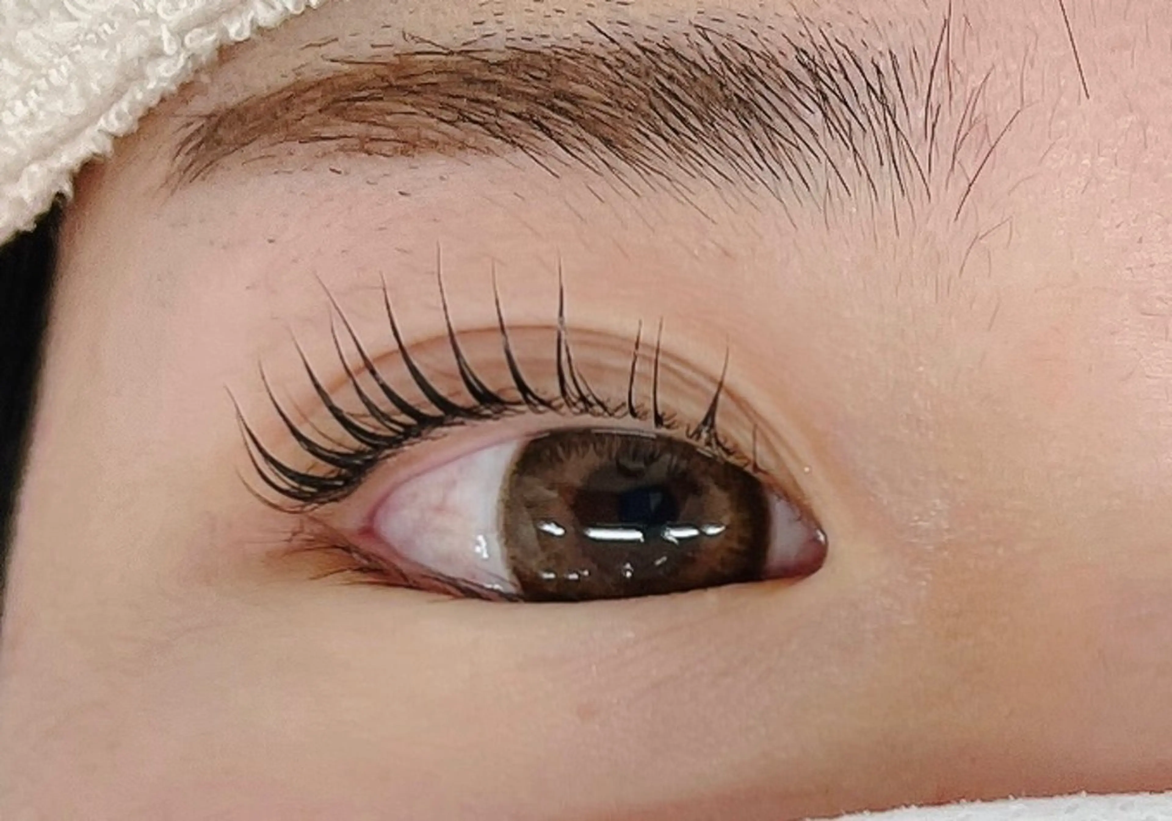 マツエク・マツパ マツパ マリーテレジア 🌻RUKAのマツエク・マツパデザイン