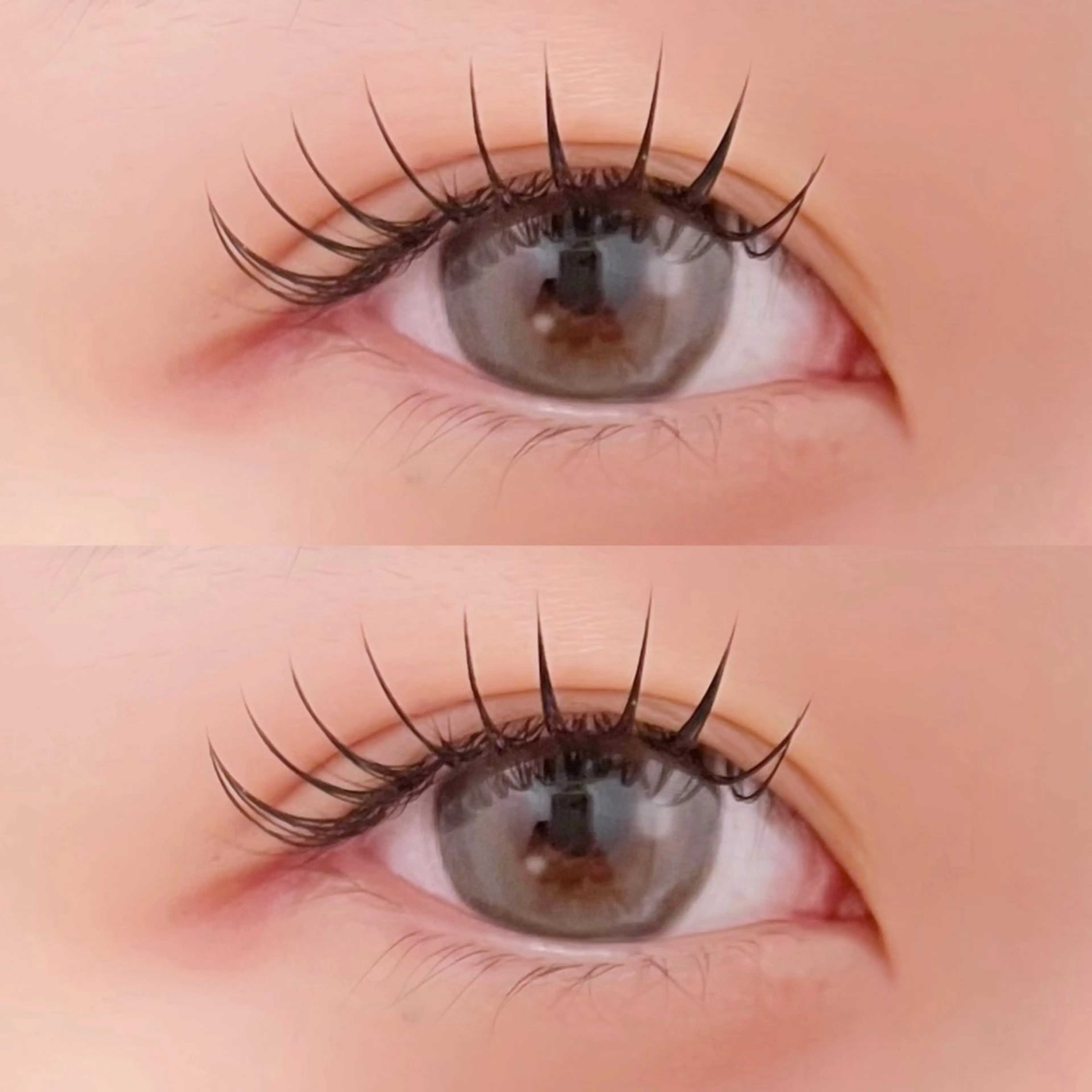 新規限定..🤍˗ˏˋ 𝐒𝐚𝐛𝐥𝐞 ˎˊ˗ 𝟏𝟒𝟎本オフ/コーティング有り.の写真