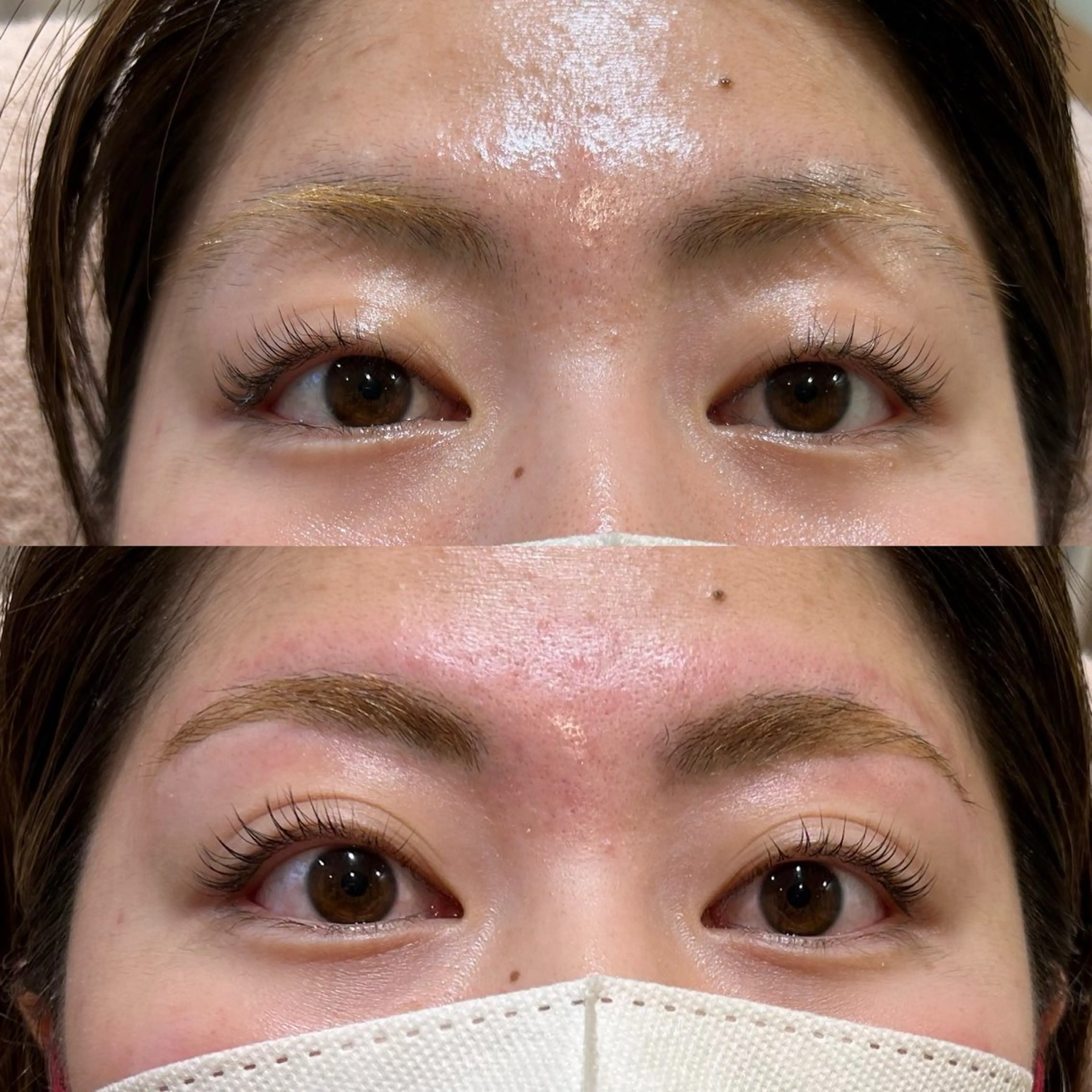 アイブロウ ハリウッドブロウリフト petitchou eyelashのマツエク・マツパデザイン