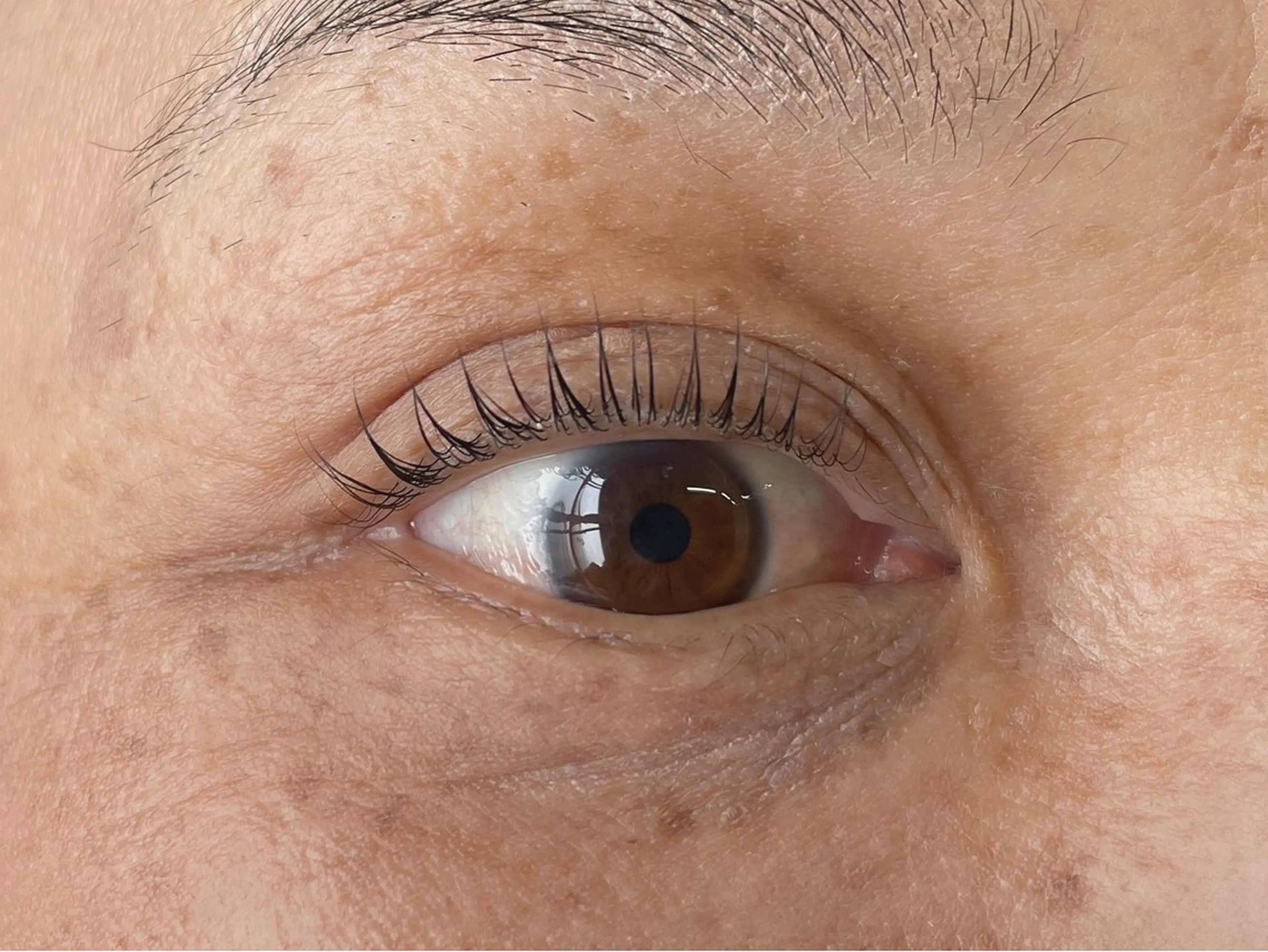 マツエク・マツパ マツパ 𝐞𝐢𝐠𝐡𝐭 YUKARI🐰💜のマツエク・マツパデザイン