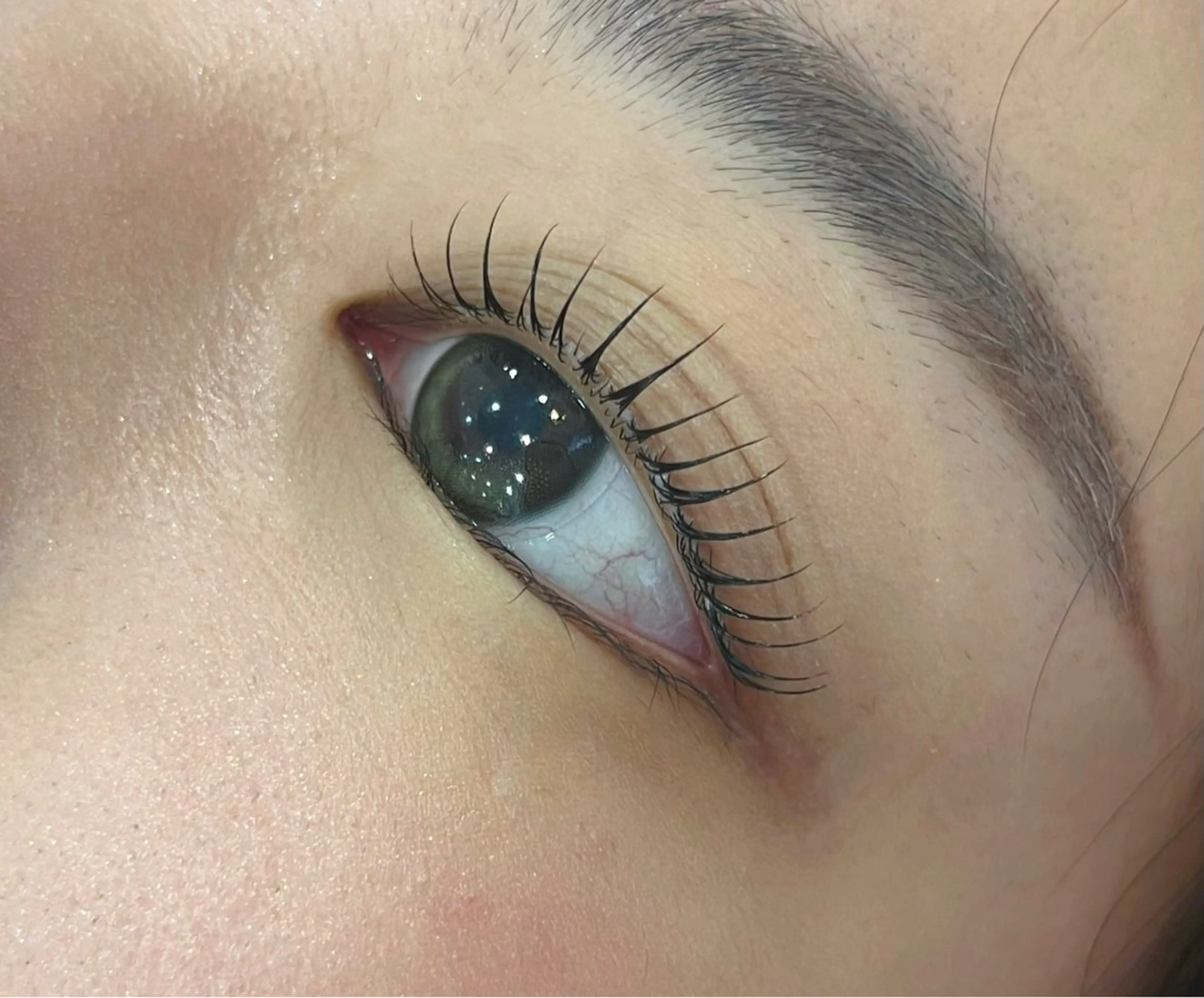 12月4日(木)限定価格💜まつげパーマの写真