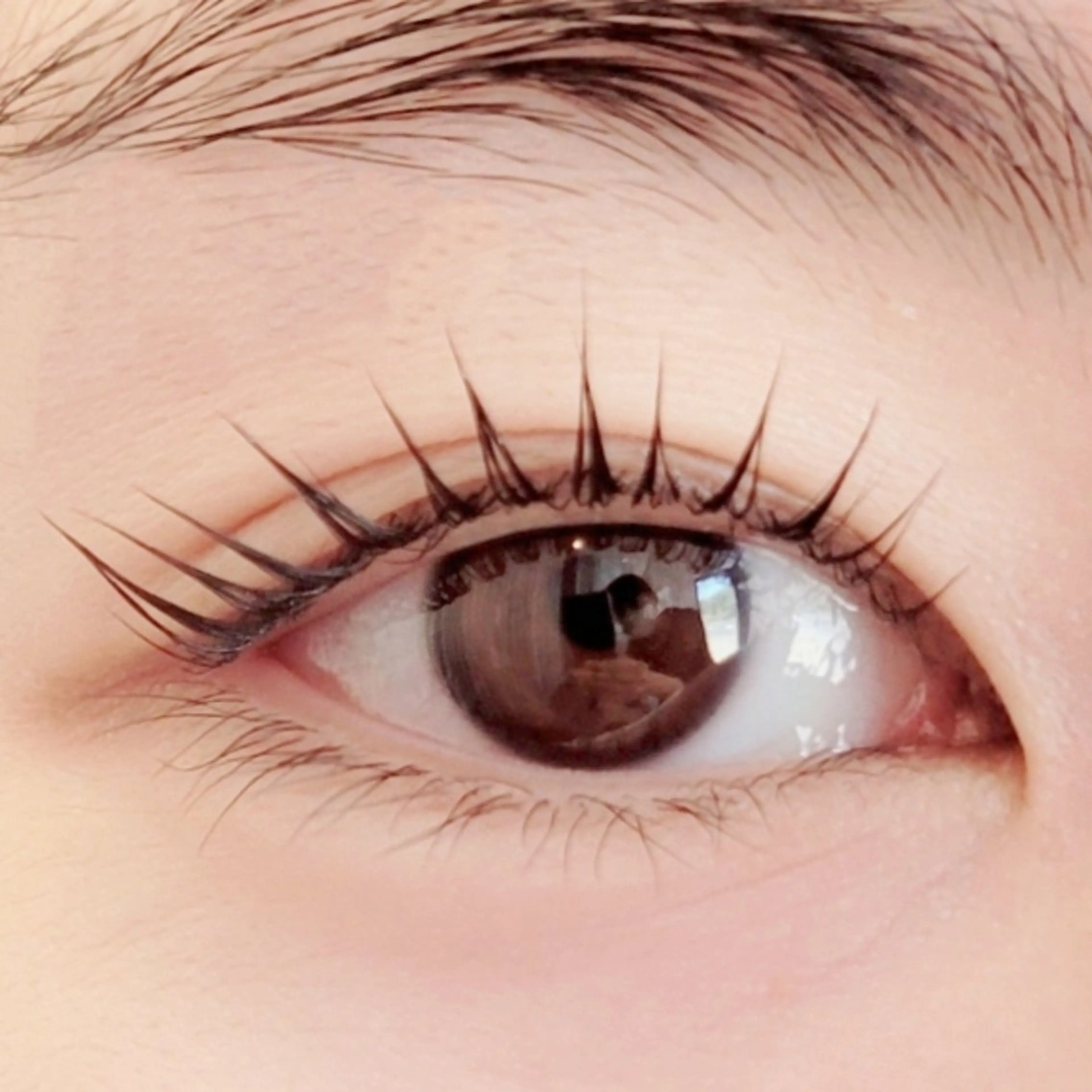 ミニモ学割⚝選べるカールラッシュリフト𓂃٭の写真