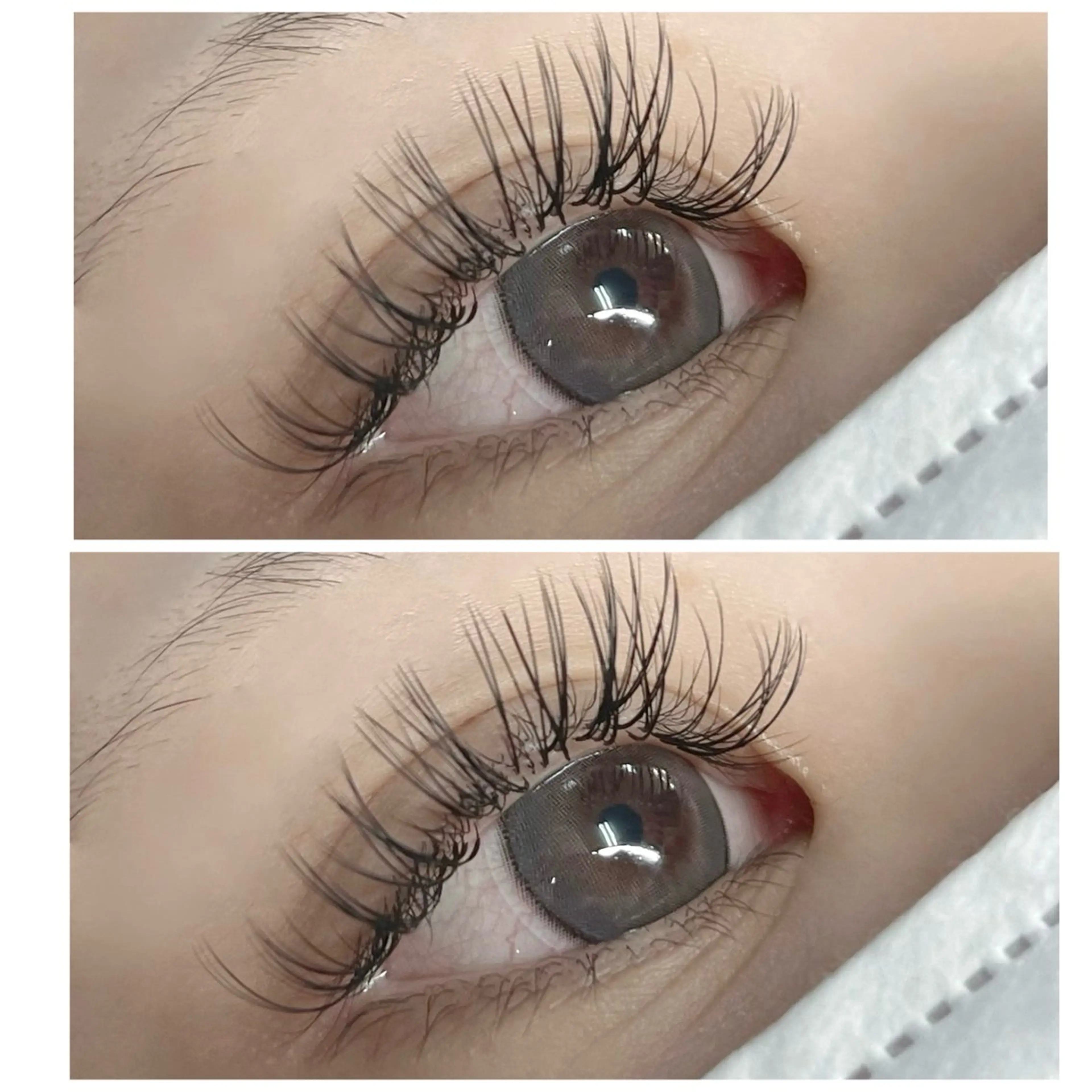 🥀バインドロック40束🥀の写真