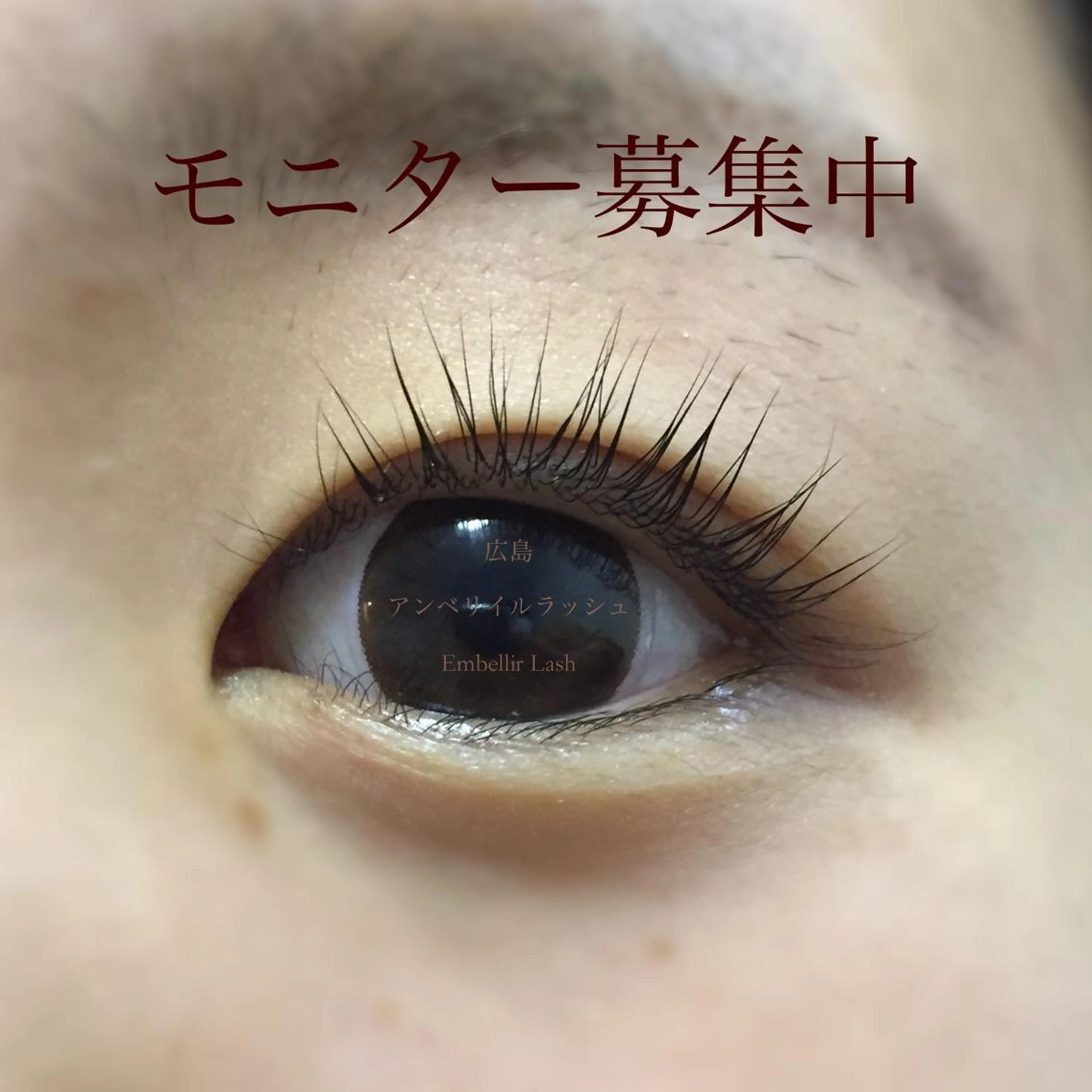 パーマ マツエク・マツパ アンベリイルラッシュ所属・まつエク・パーマ アンベリイルラッシュのマツエク・マツパデザイン