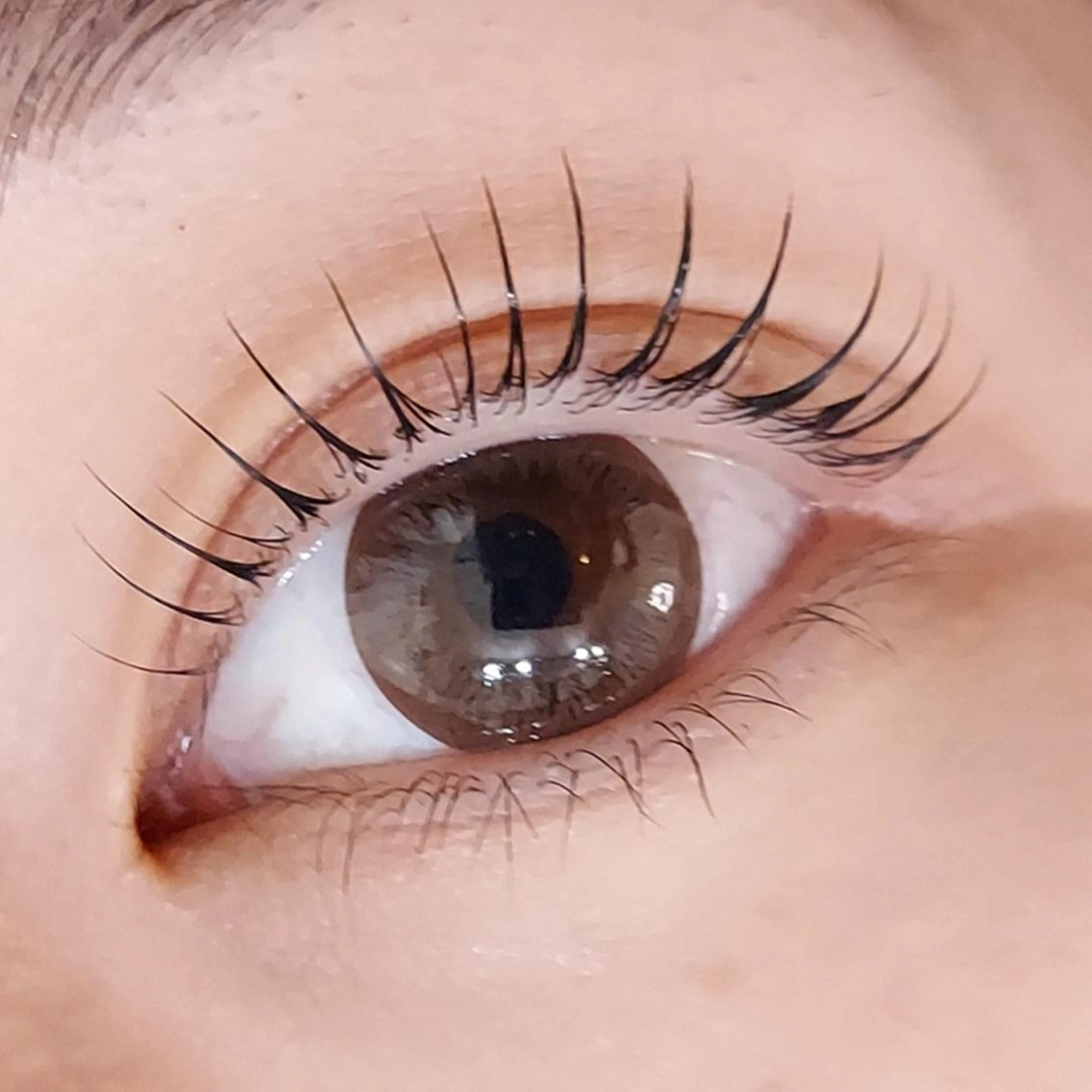 マツエク・マツパ Chisa【店長】 🌿jolie 栄店のマツエク・マツパデザイン